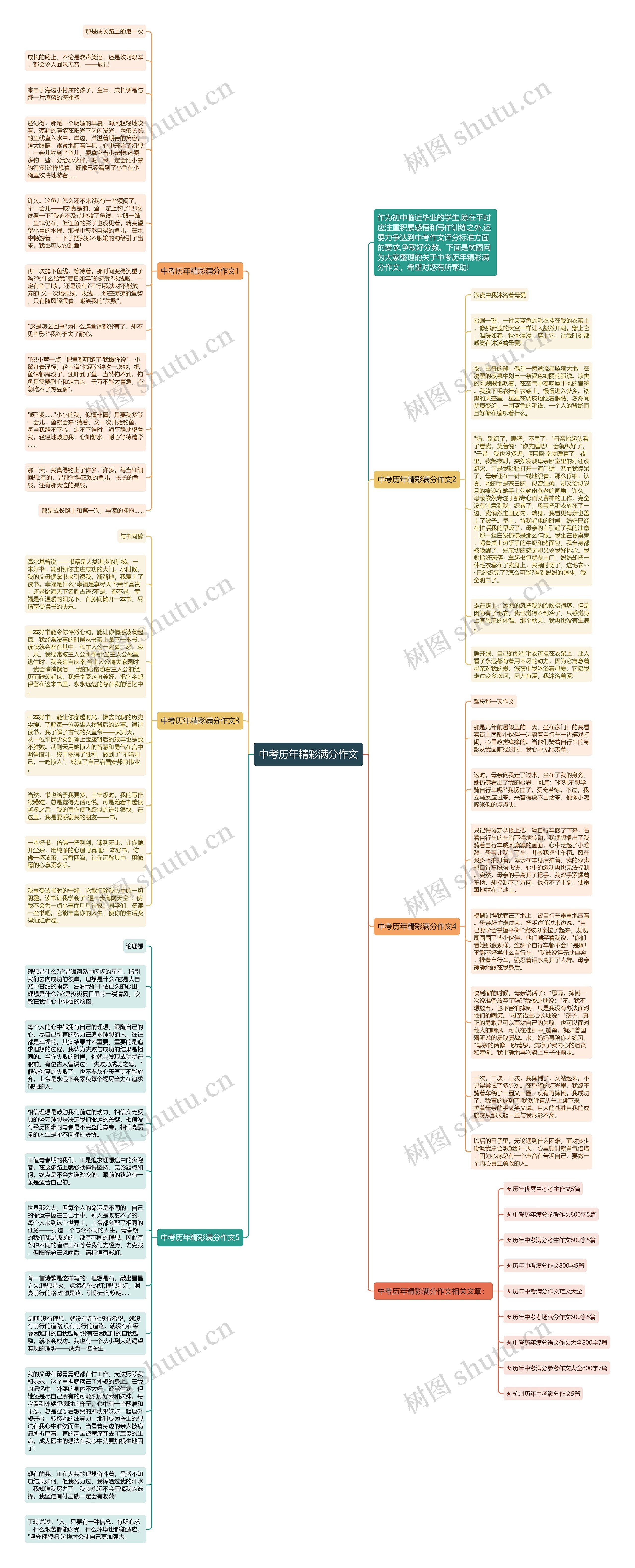 中考历年精彩满分作文思维导图