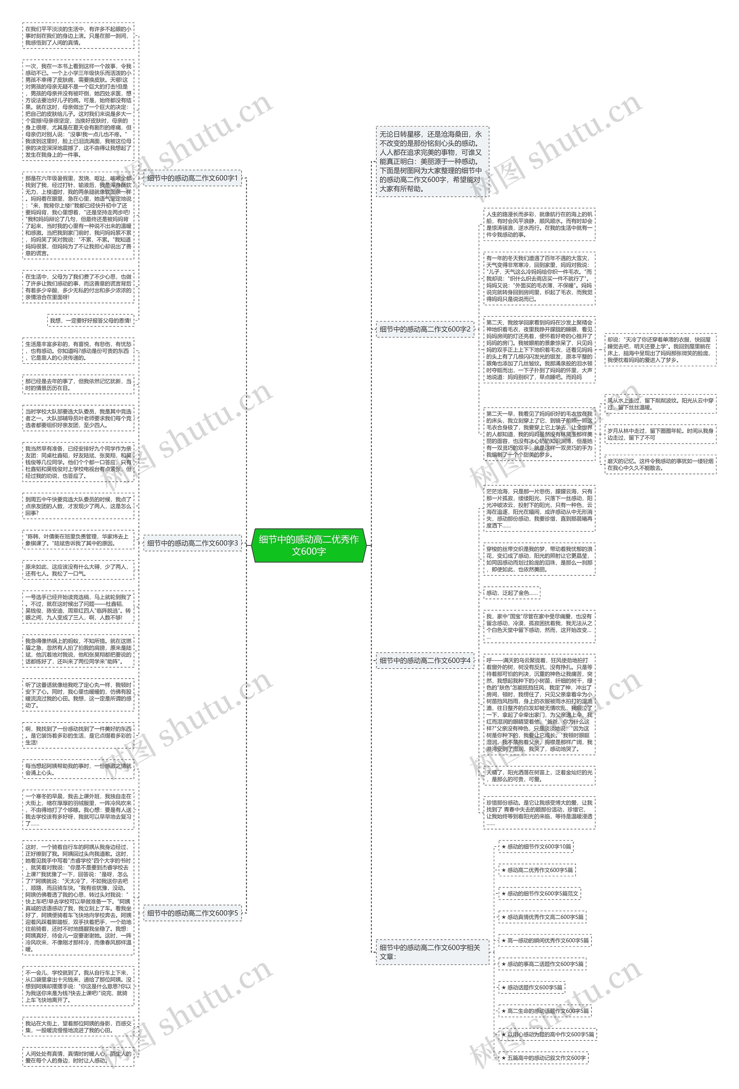 细节中的感动高二优秀作文600字思维导图