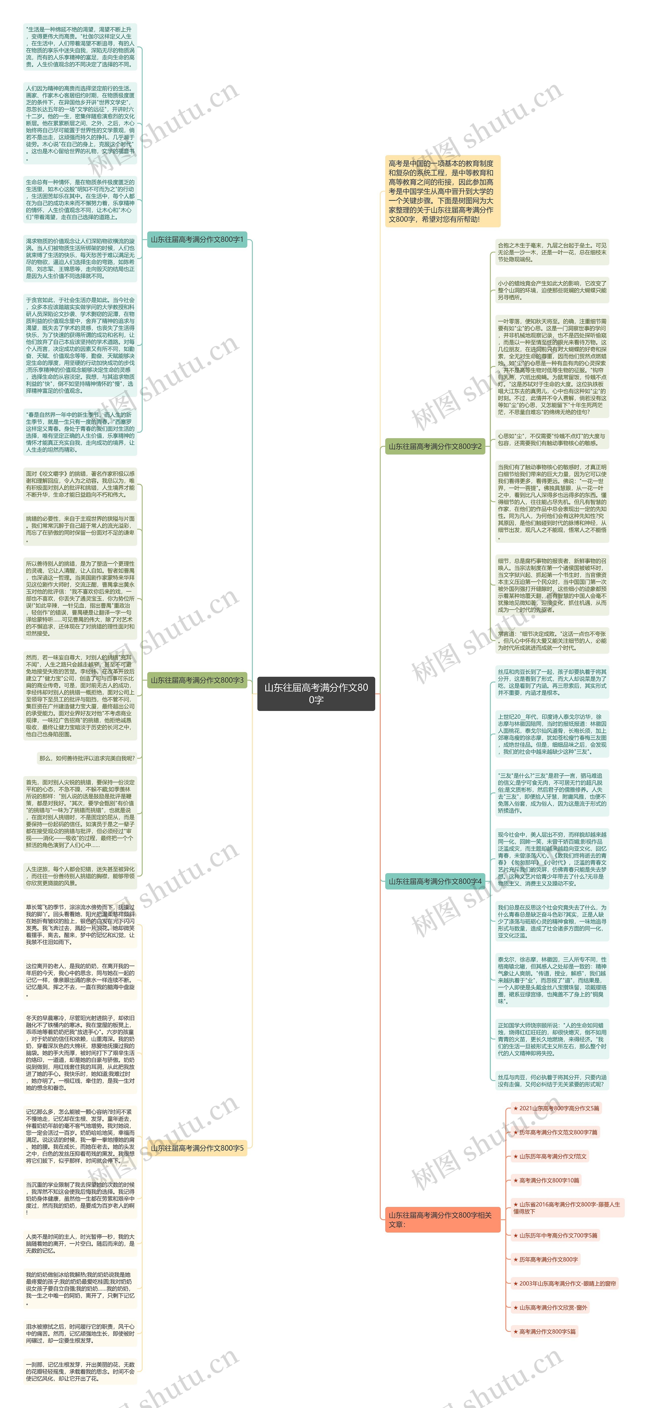 山东往届高考满分作文800字思维导图