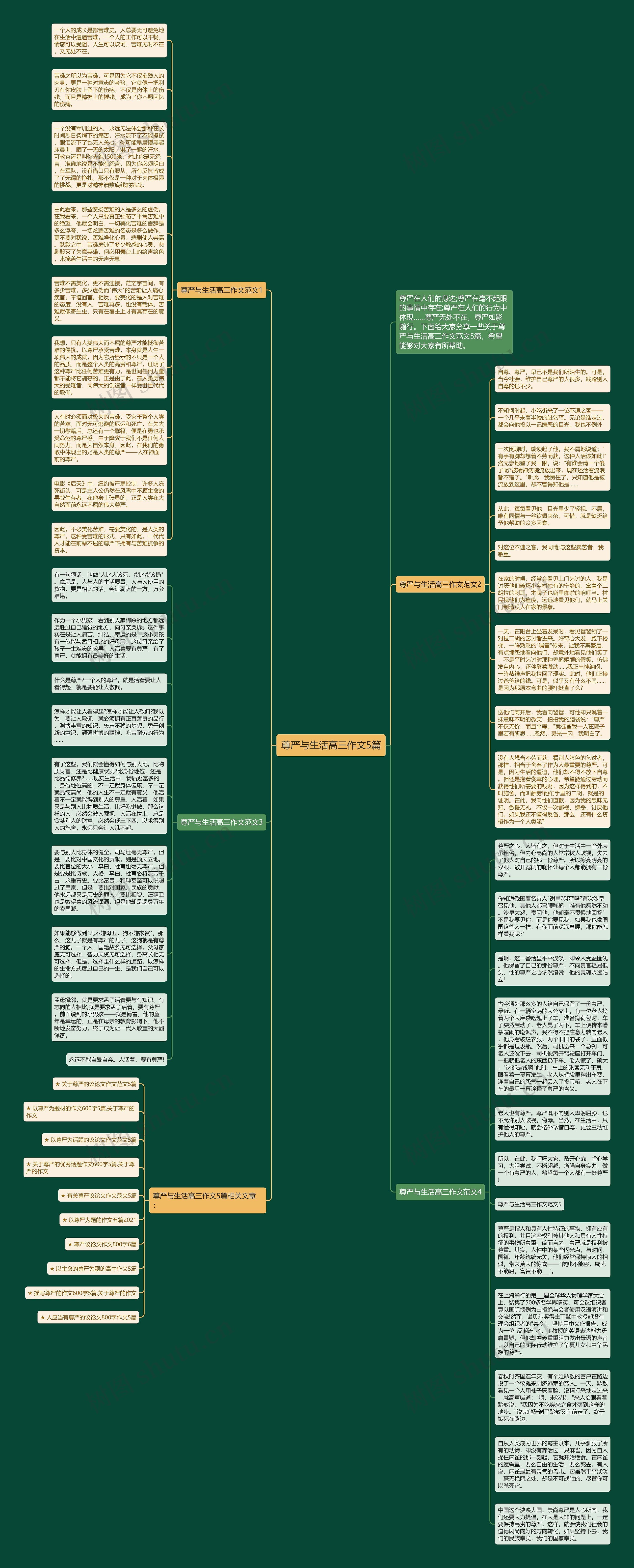 尊严与生活高三作文5篇思维导图