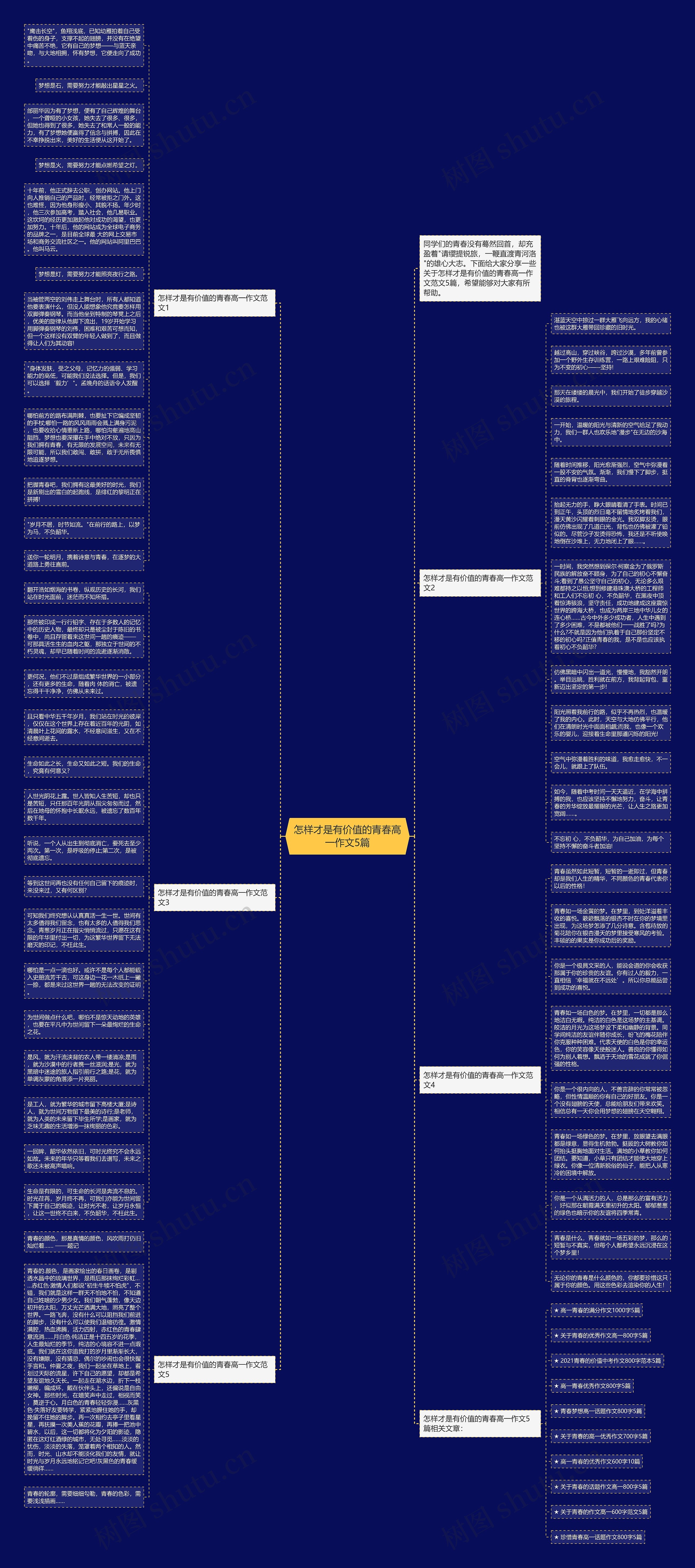 怎样才是有价值的青春高一作文5篇思维导图