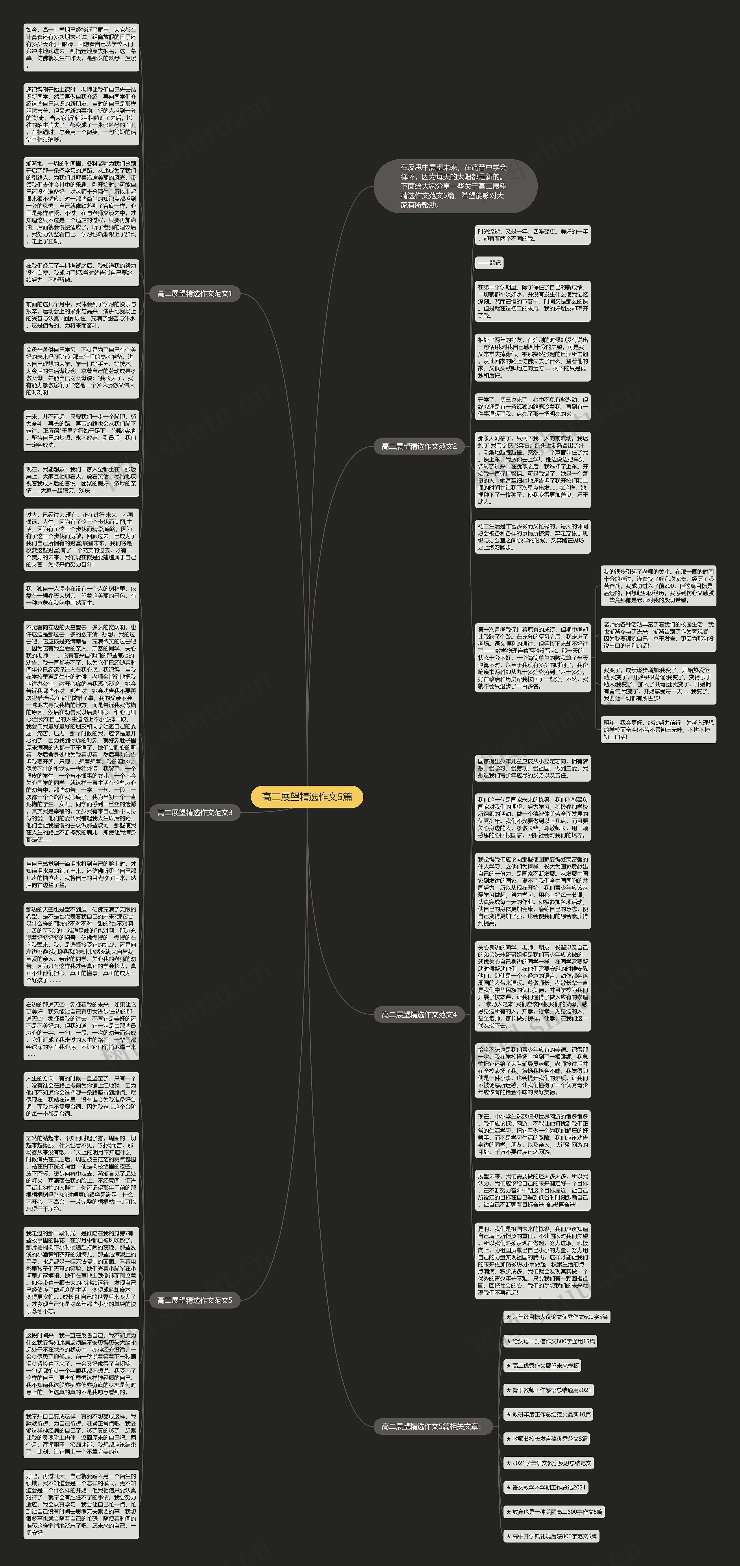 高二展望精选作文5篇思维导图