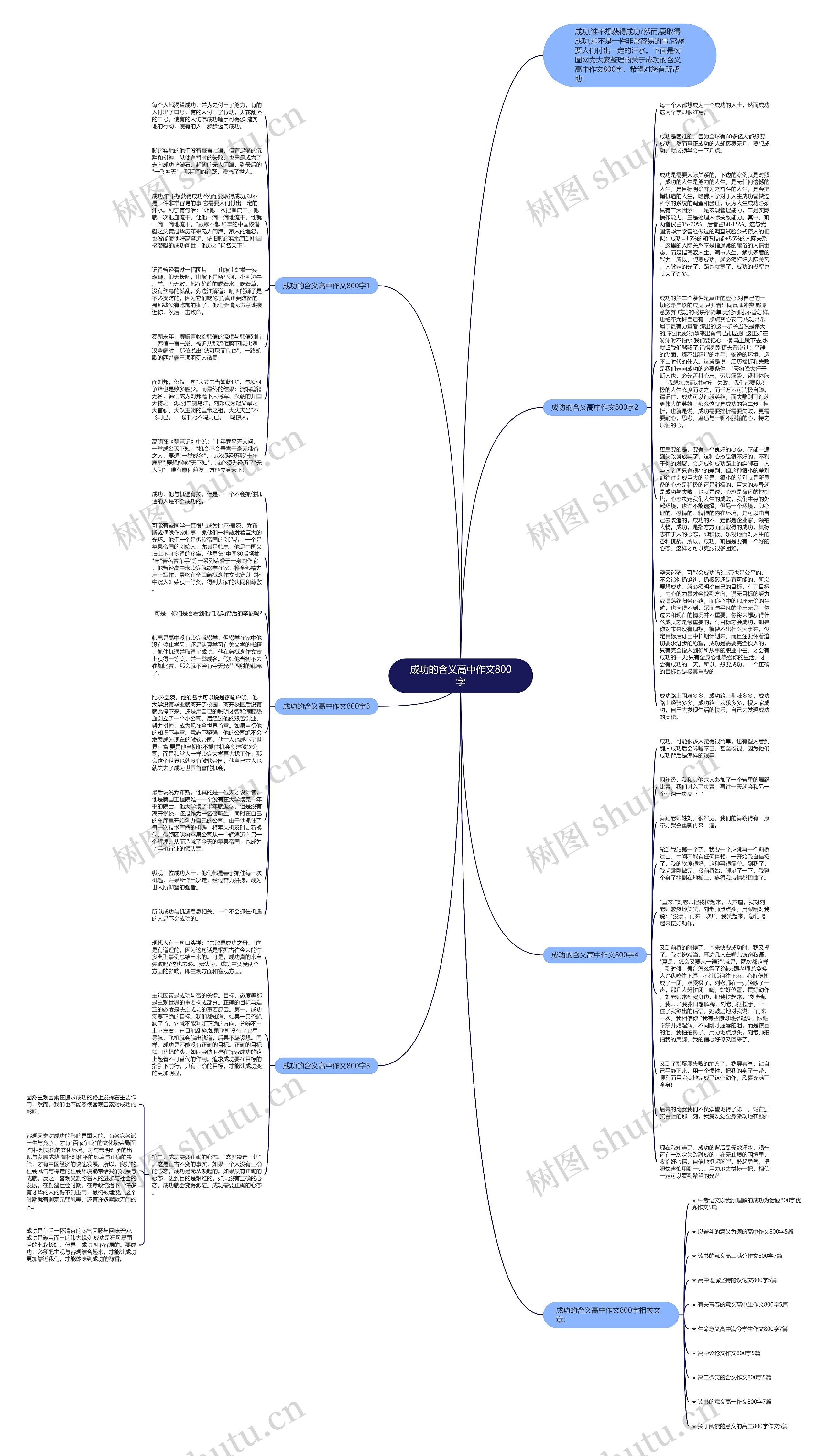 成功的含义高中作文800字思维导图