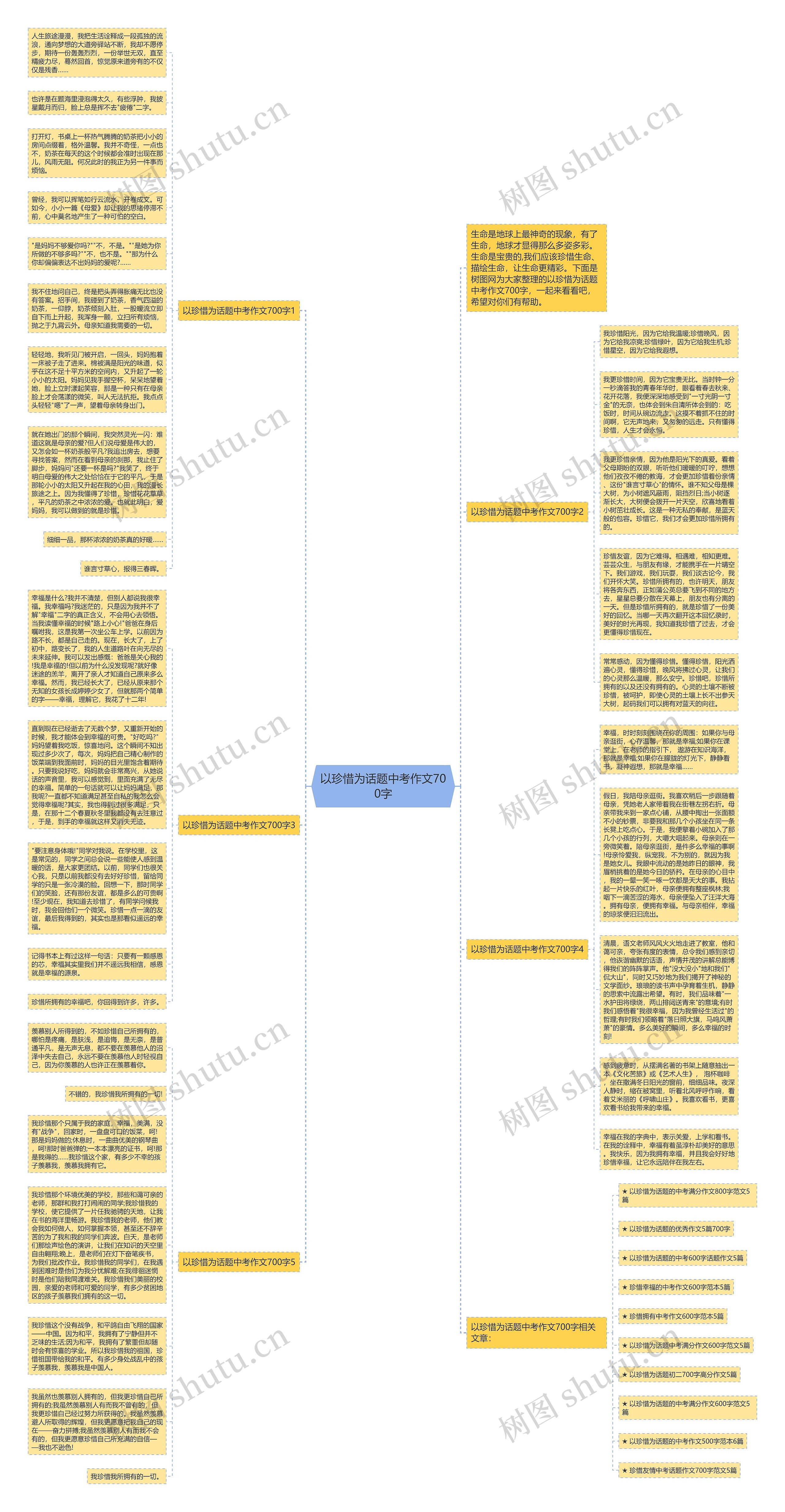以珍惜为话题中考作文700字思维导图