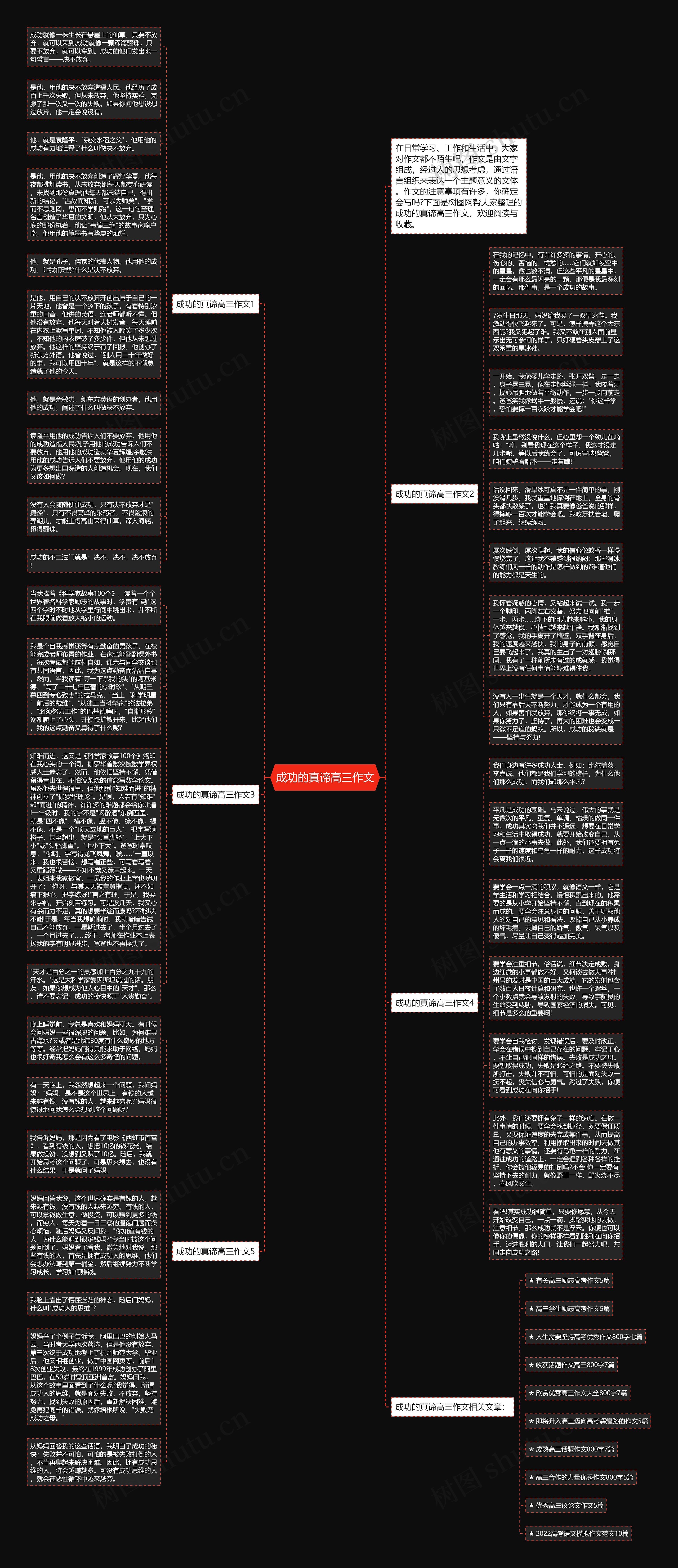 成功的真谛高三作文思维导图