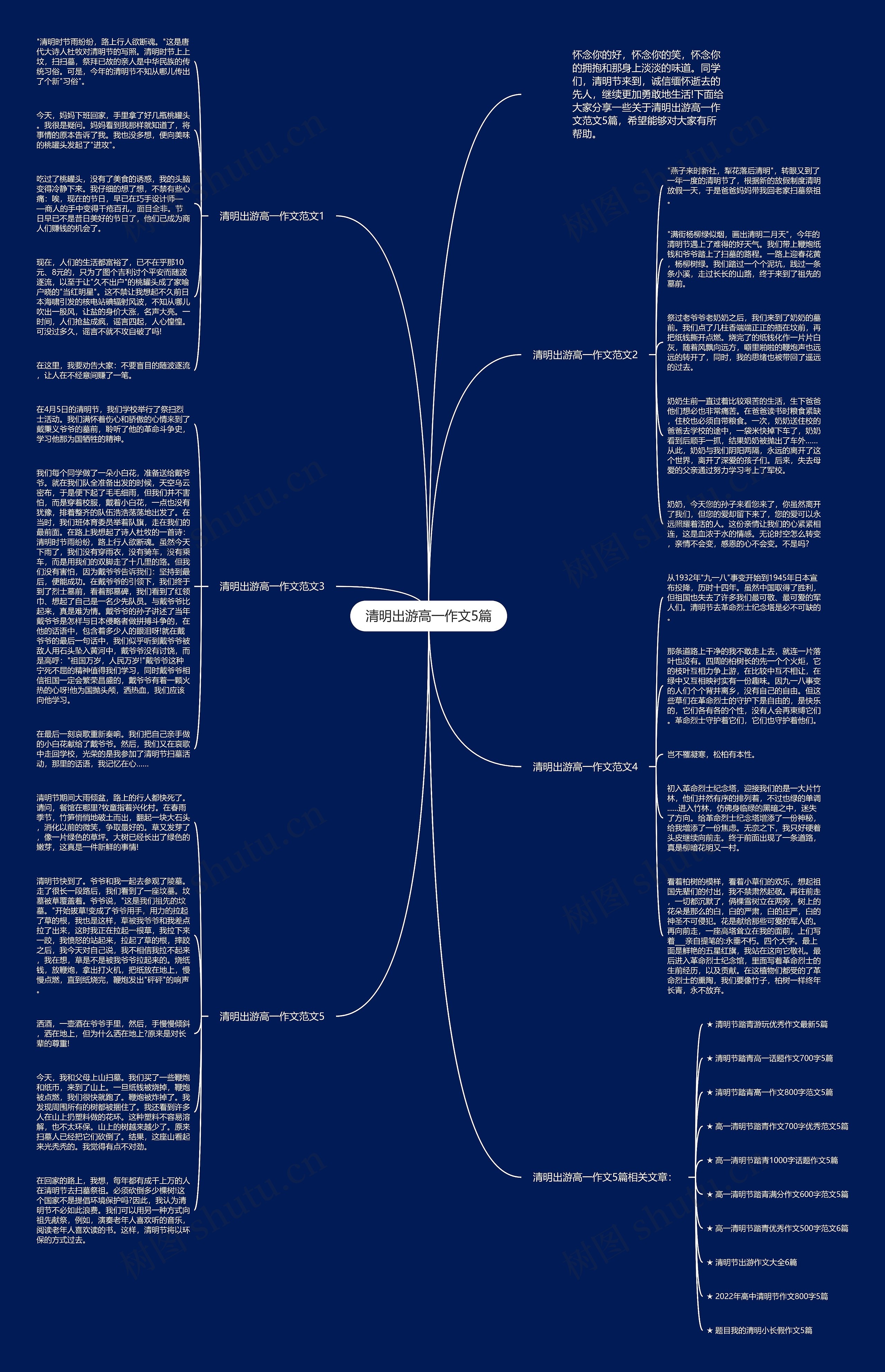 清明出游高一作文5篇思维导图
