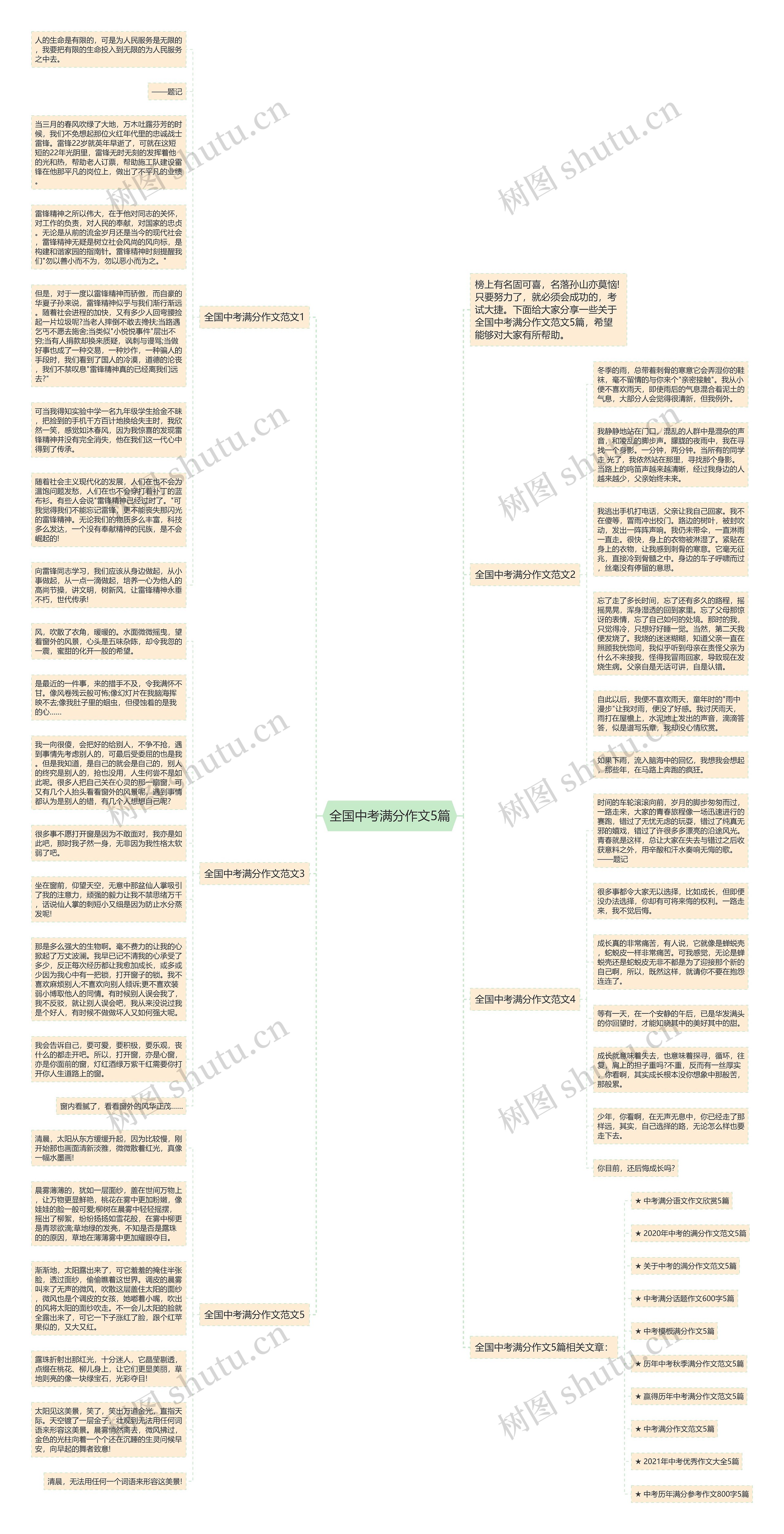 全国中考满分作文5篇思维导图
