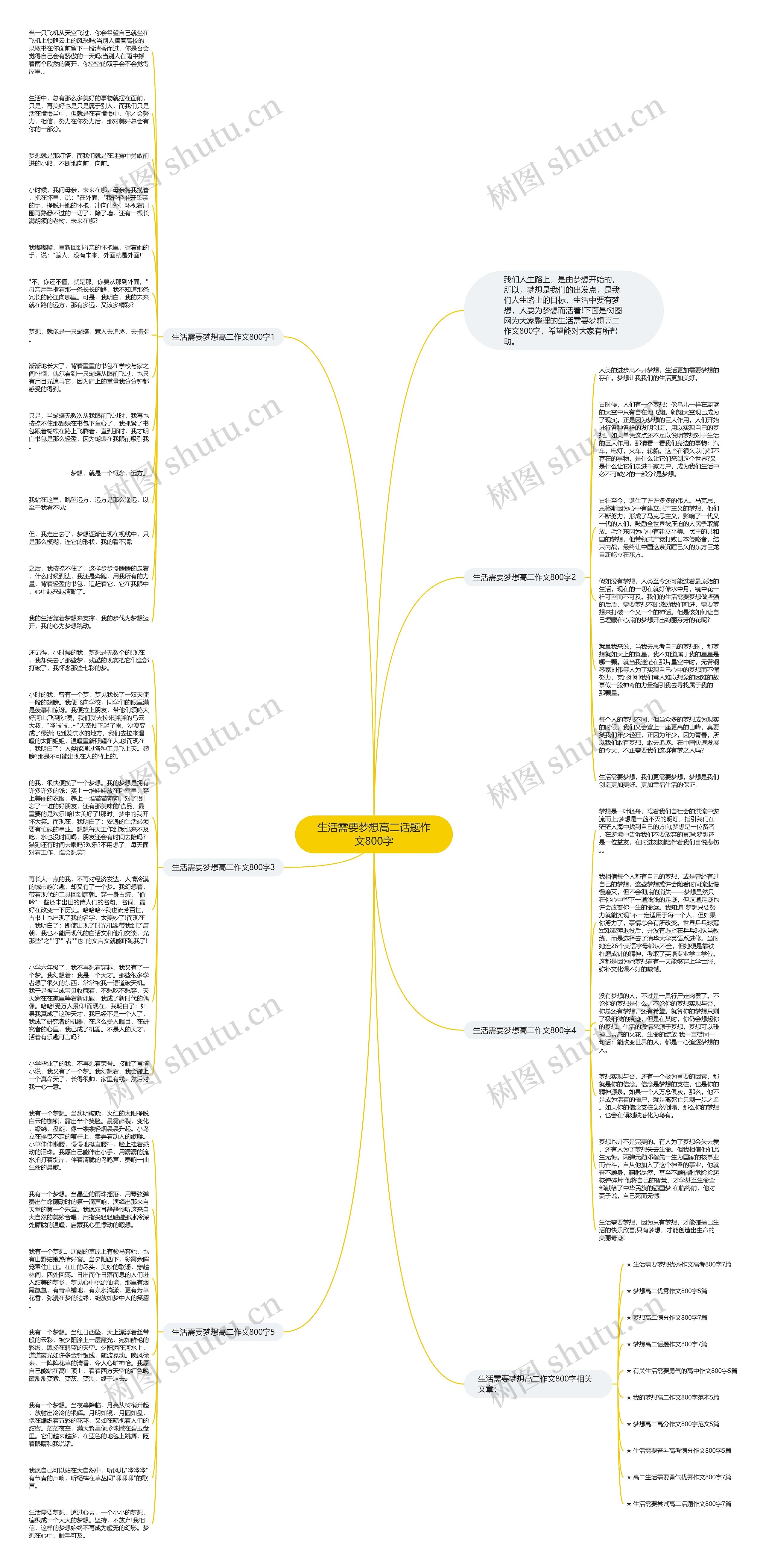 生活需要梦想高二话题作文800字思维导图