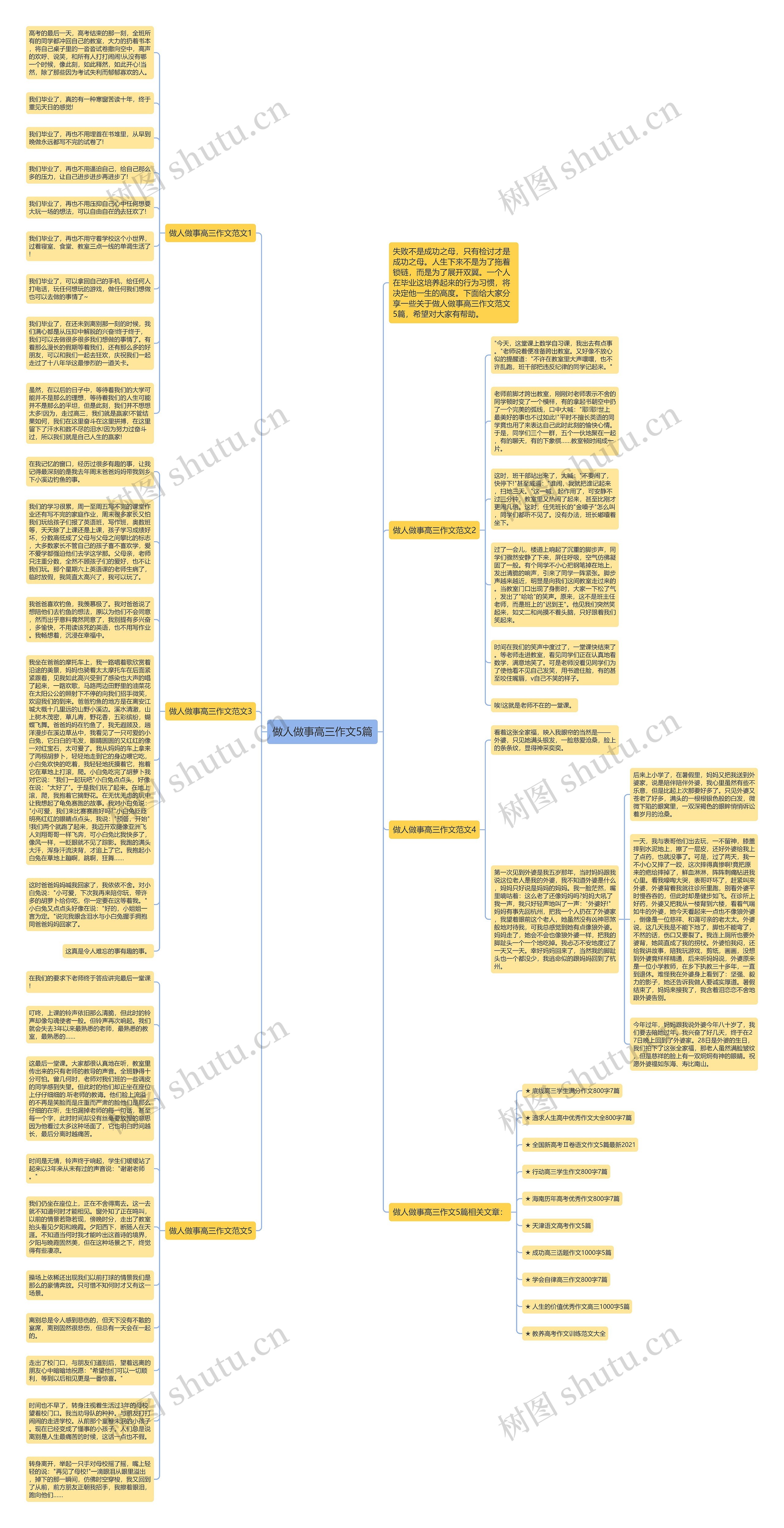做人做事高三作文5篇思维导图