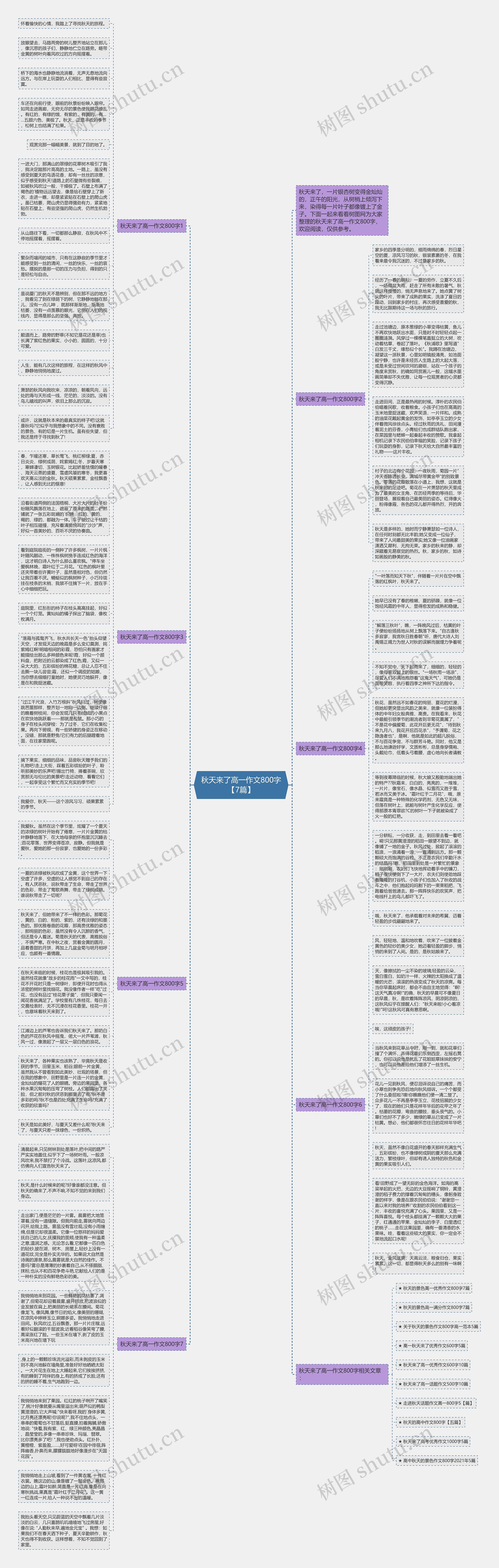秋天来了高一作文800字【7篇】思维导图