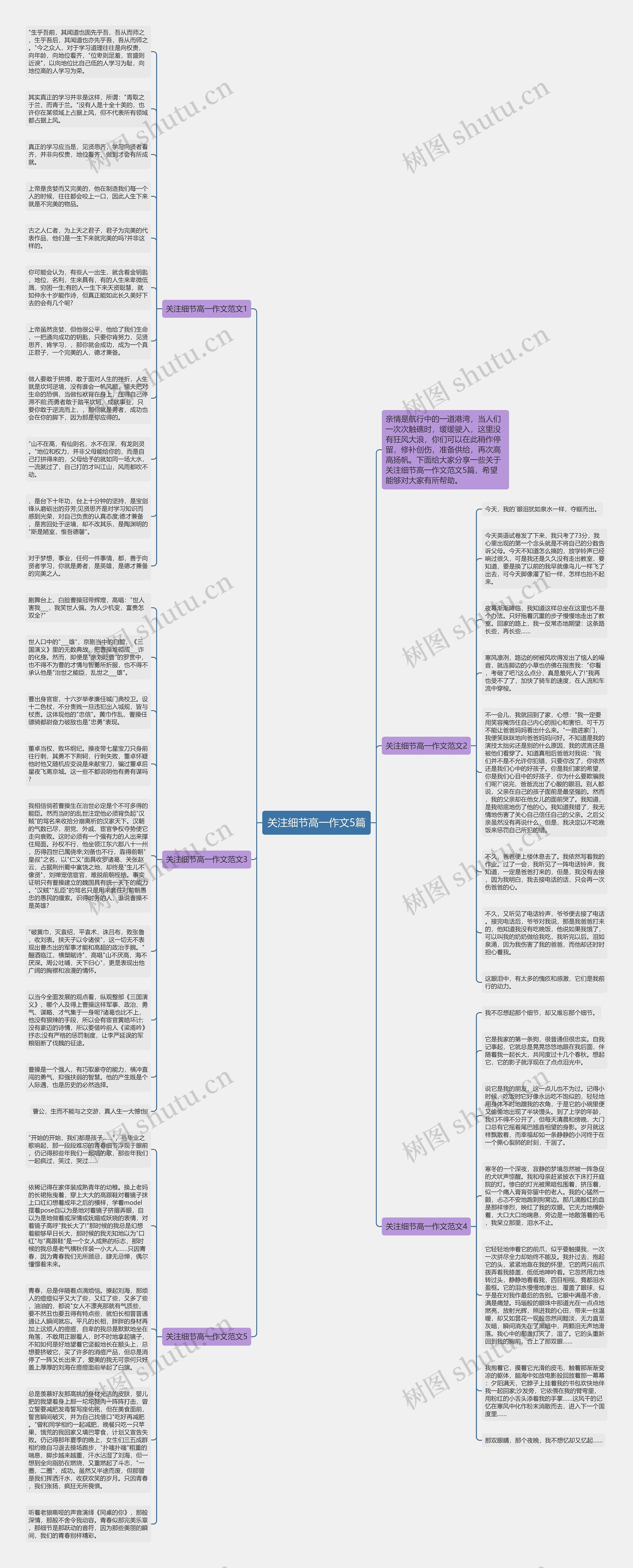 关注细节高一作文5篇思维导图