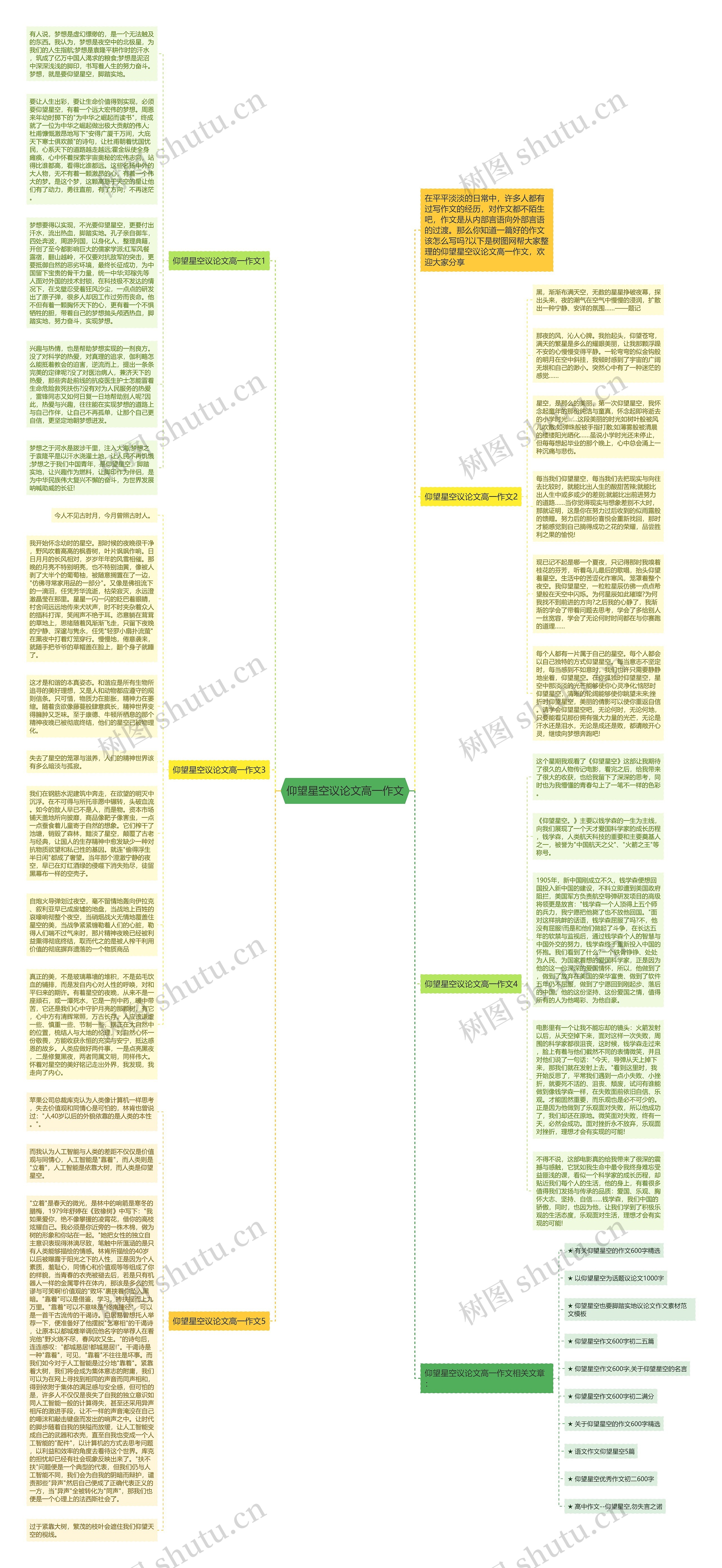 仰望星空议论文高一作文思维导图