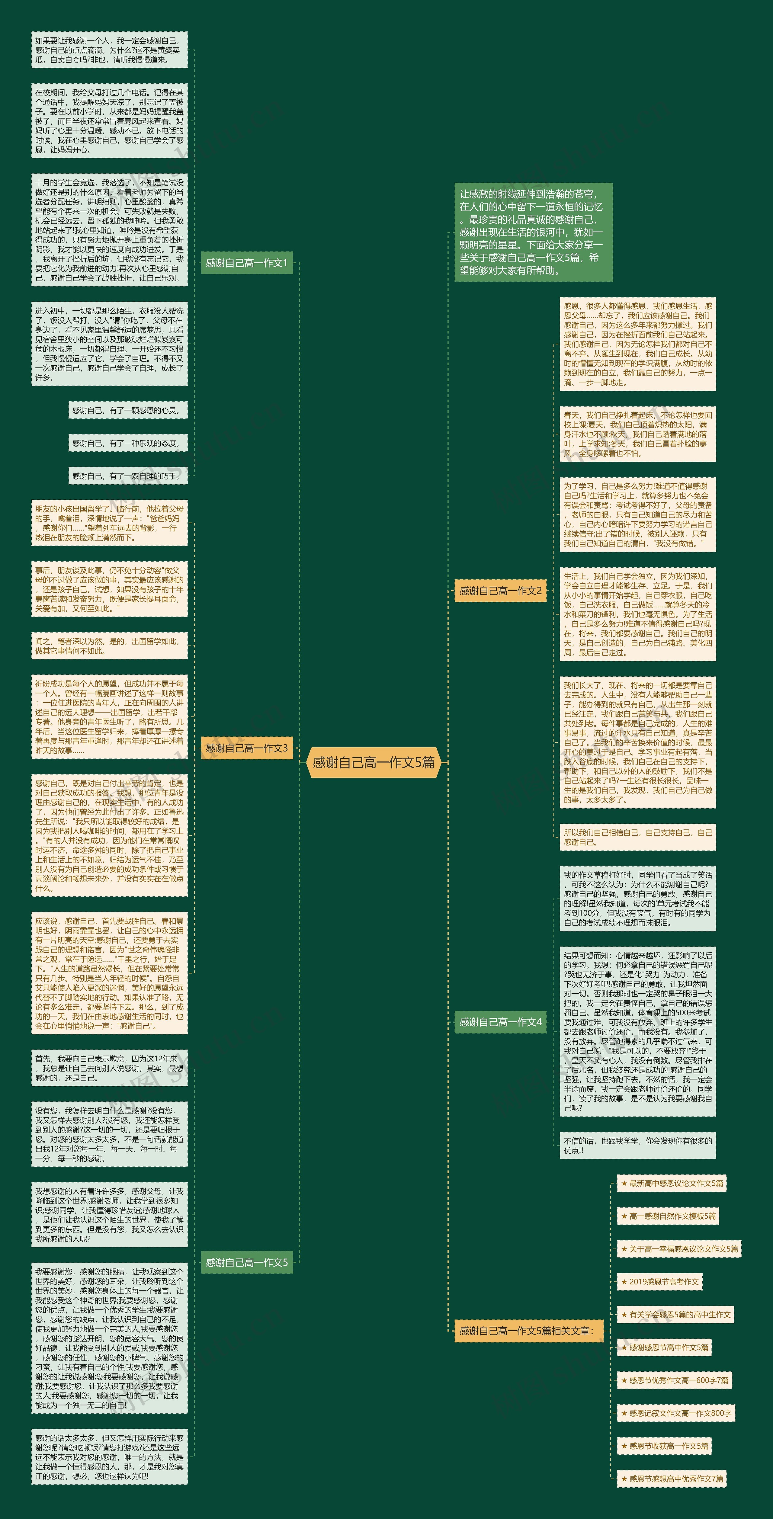感谢自己高一作文5篇思维导图