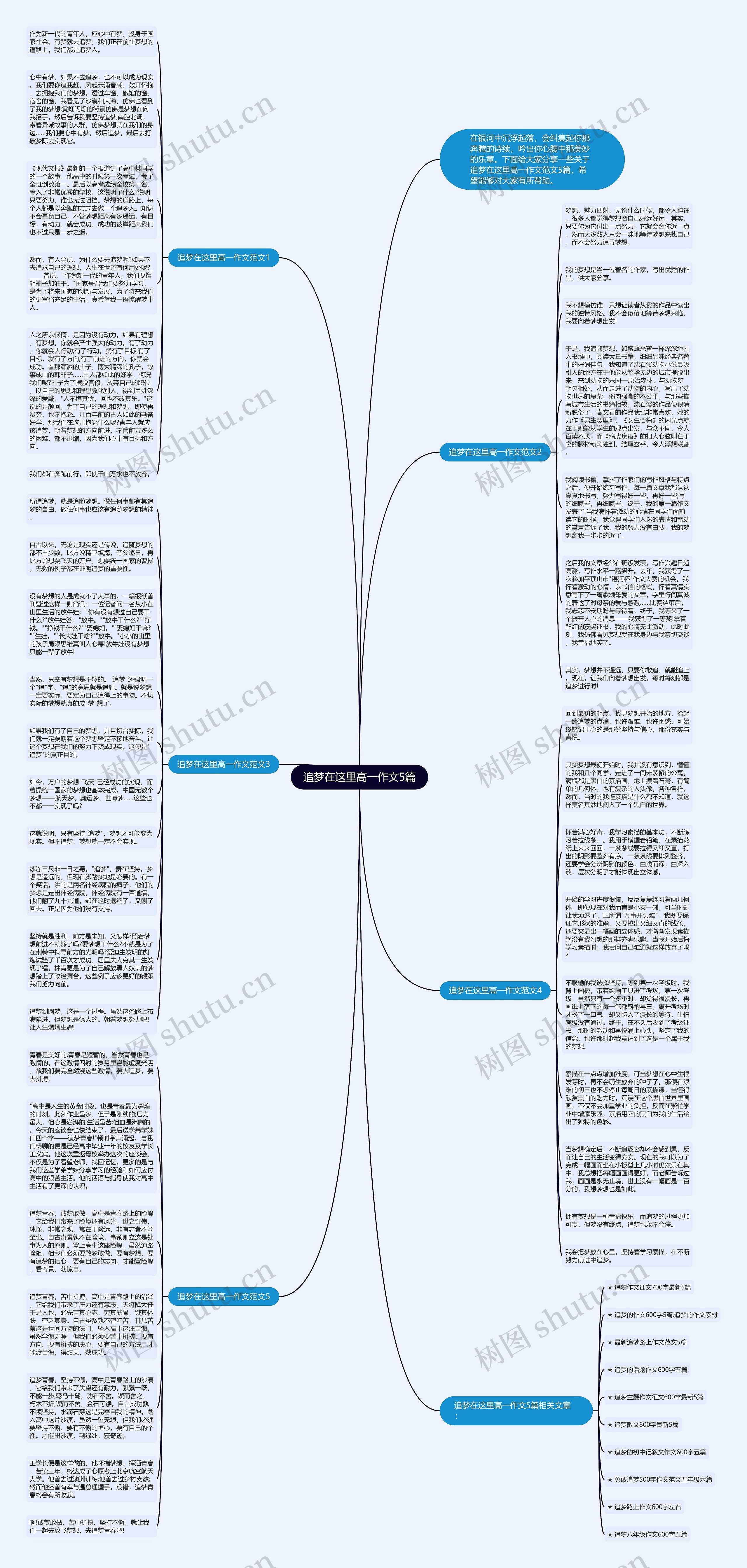 追梦在这里高一作文5篇思维导图