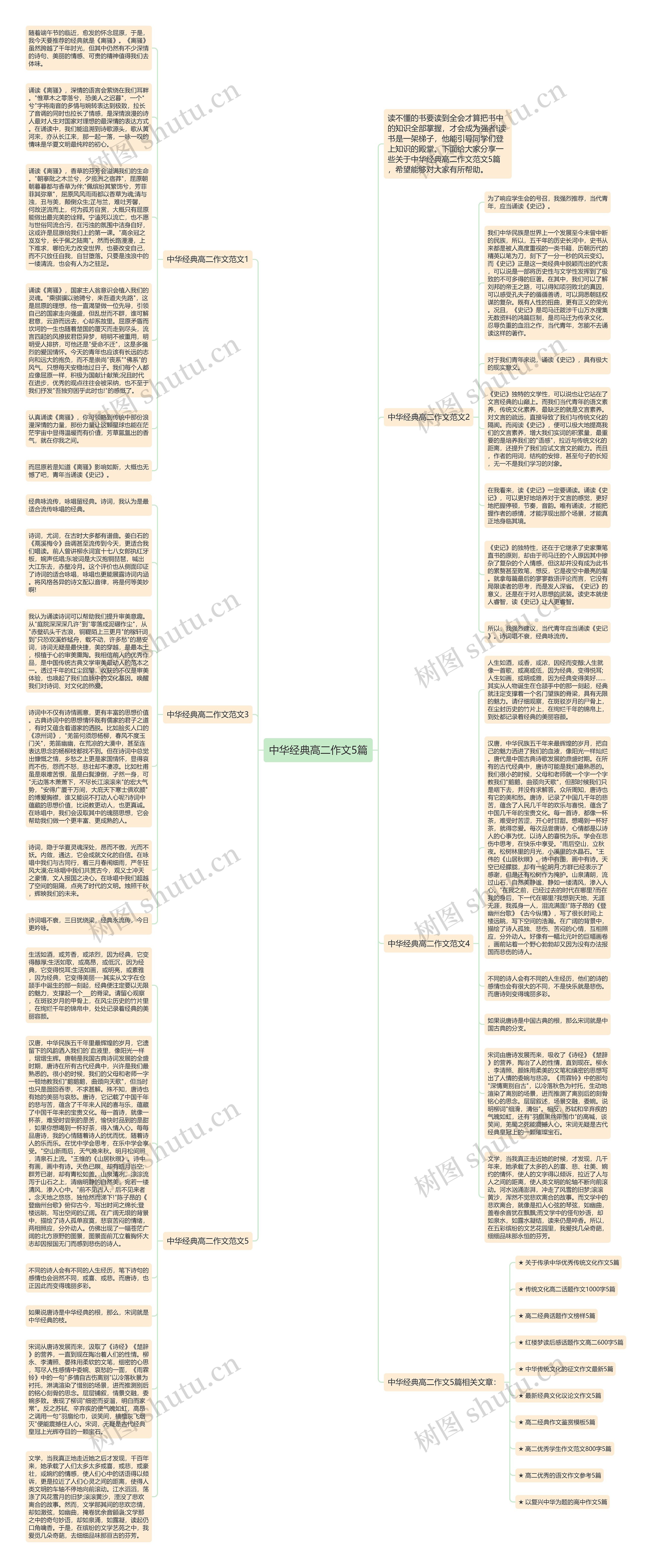 中华经典高二作文5篇思维导图