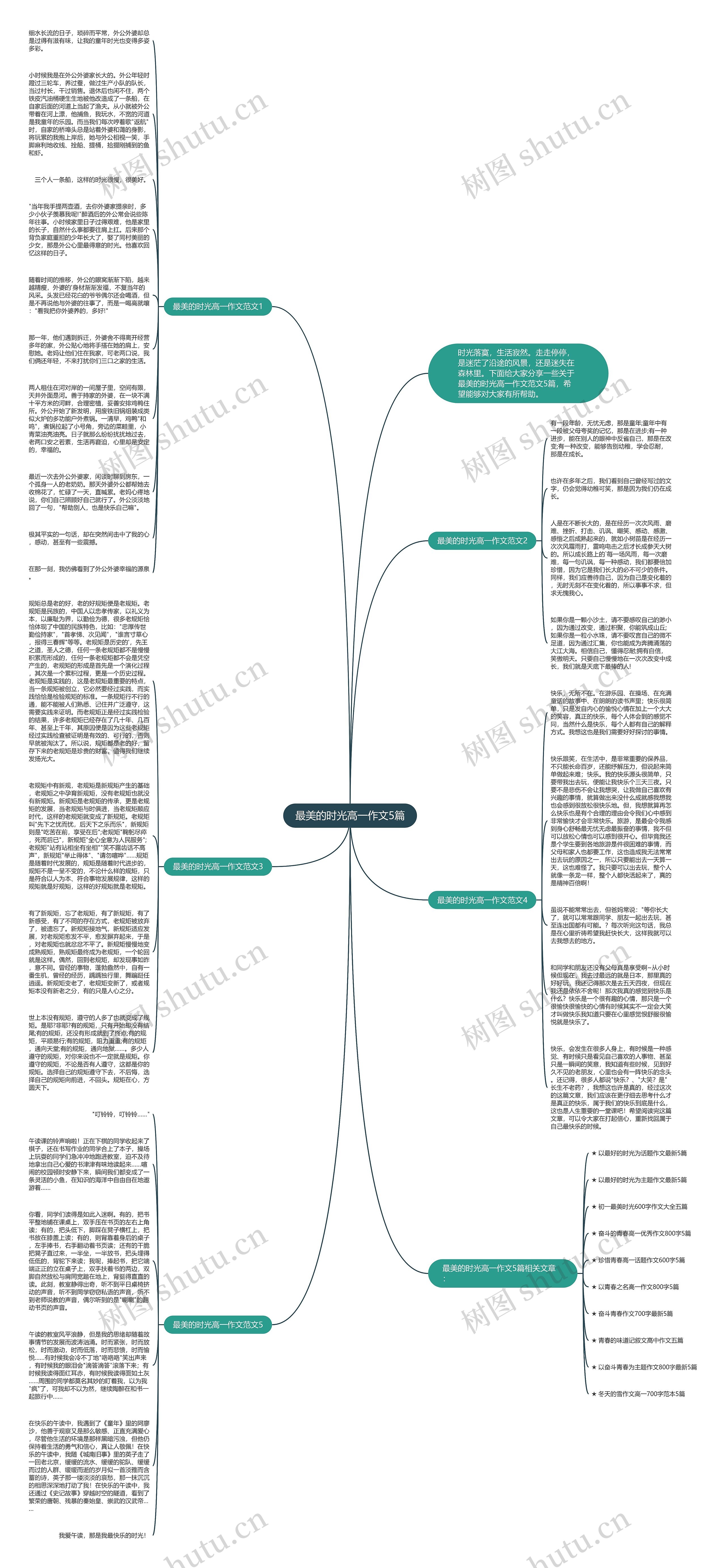 最美的时光高一作文5篇思维导图