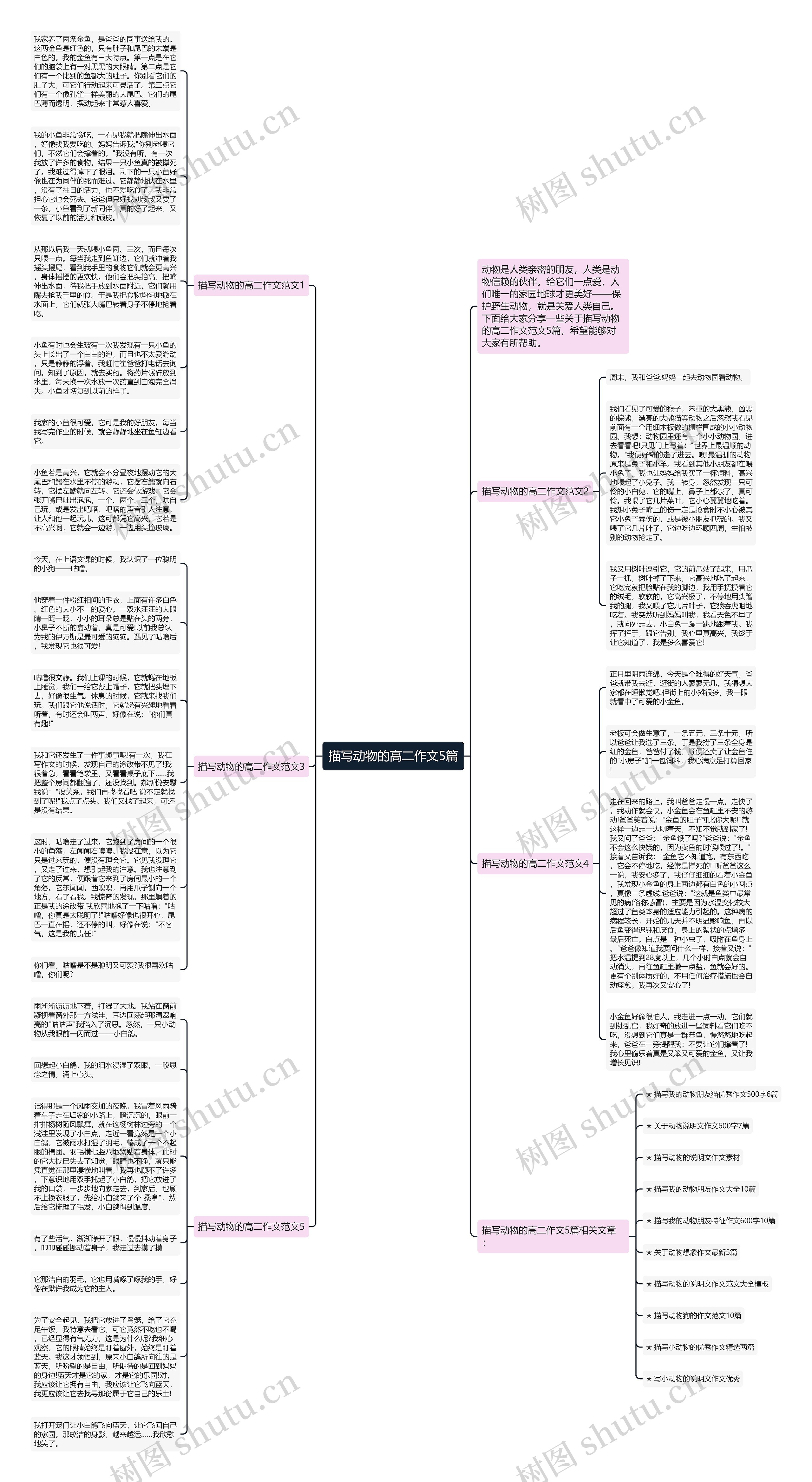 描写动物的高二作文5篇思维导图