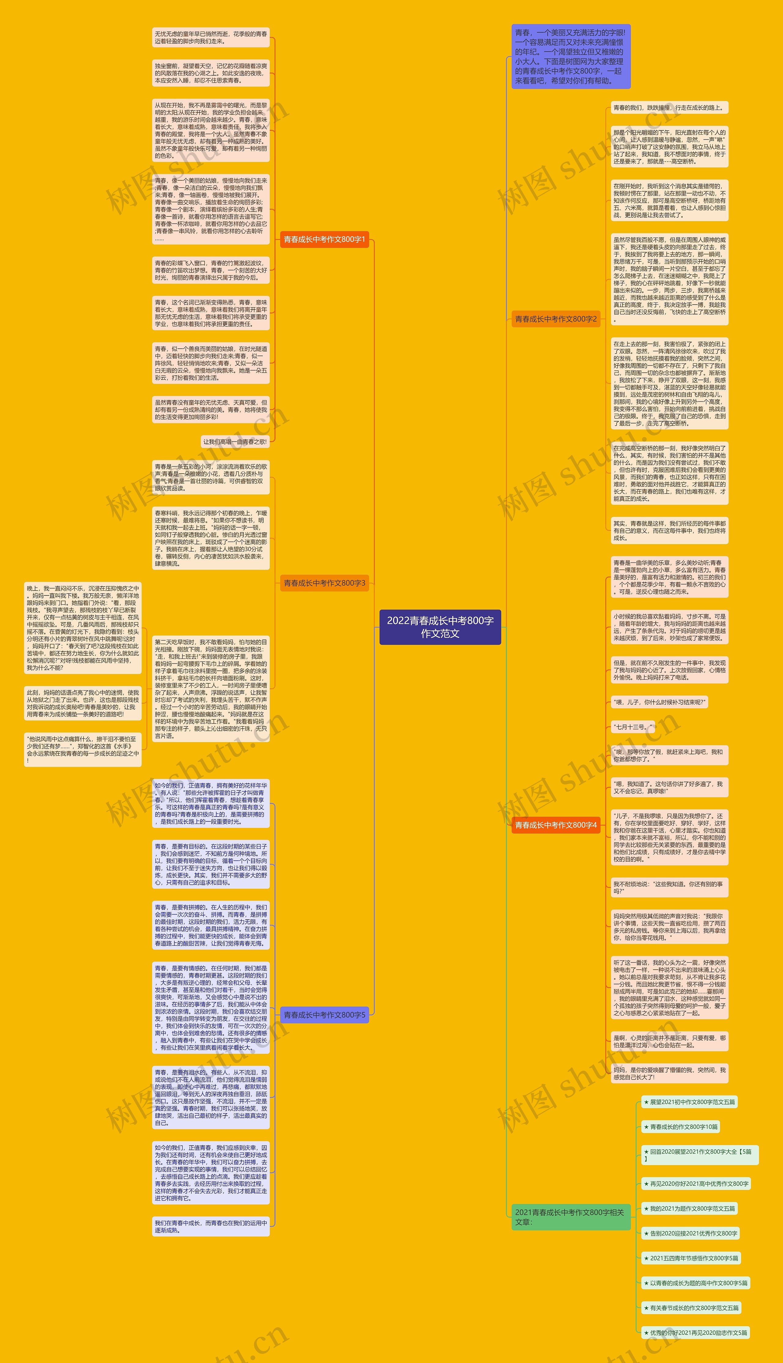 2022青春成长中考800字作文范文思维导图