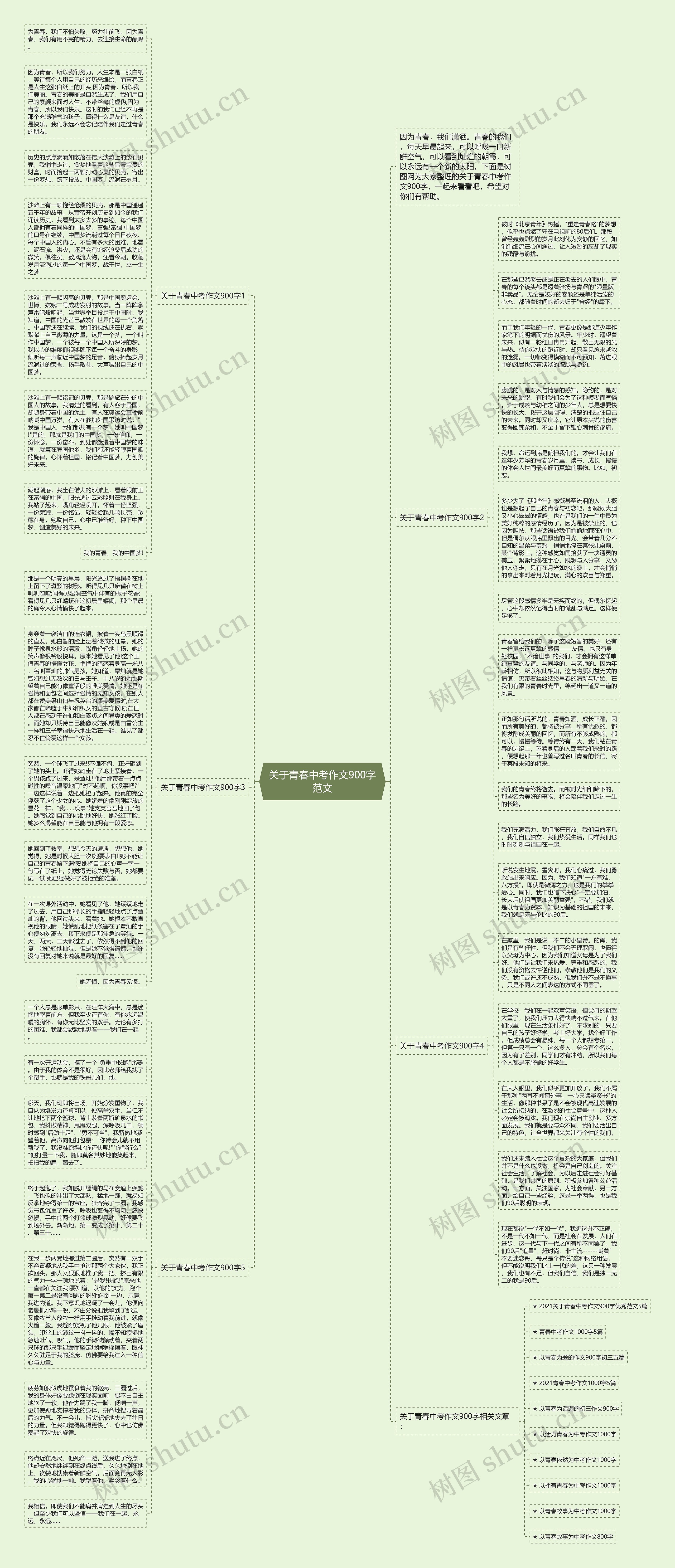关于青春中考作文900字范文思维导图