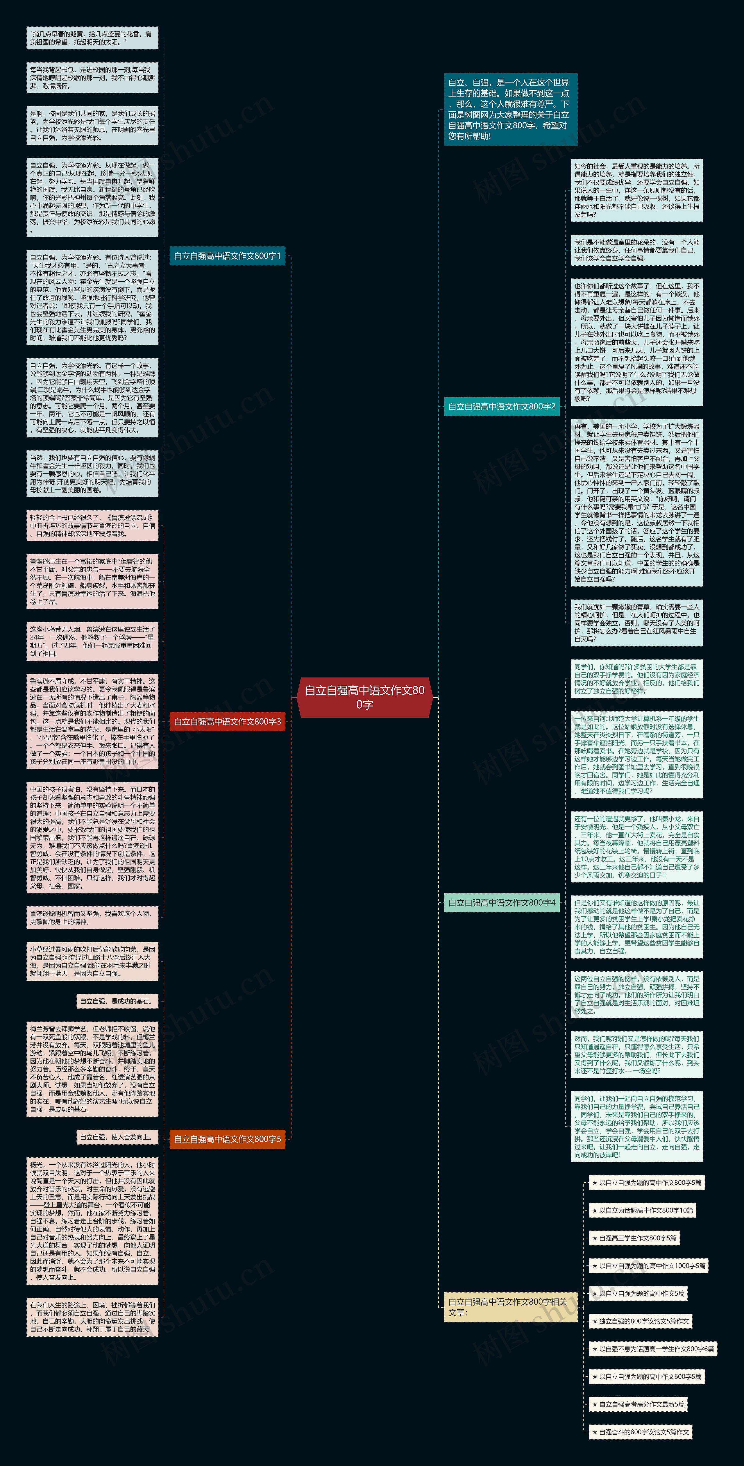 自立自强高中语文作文800字思维导图