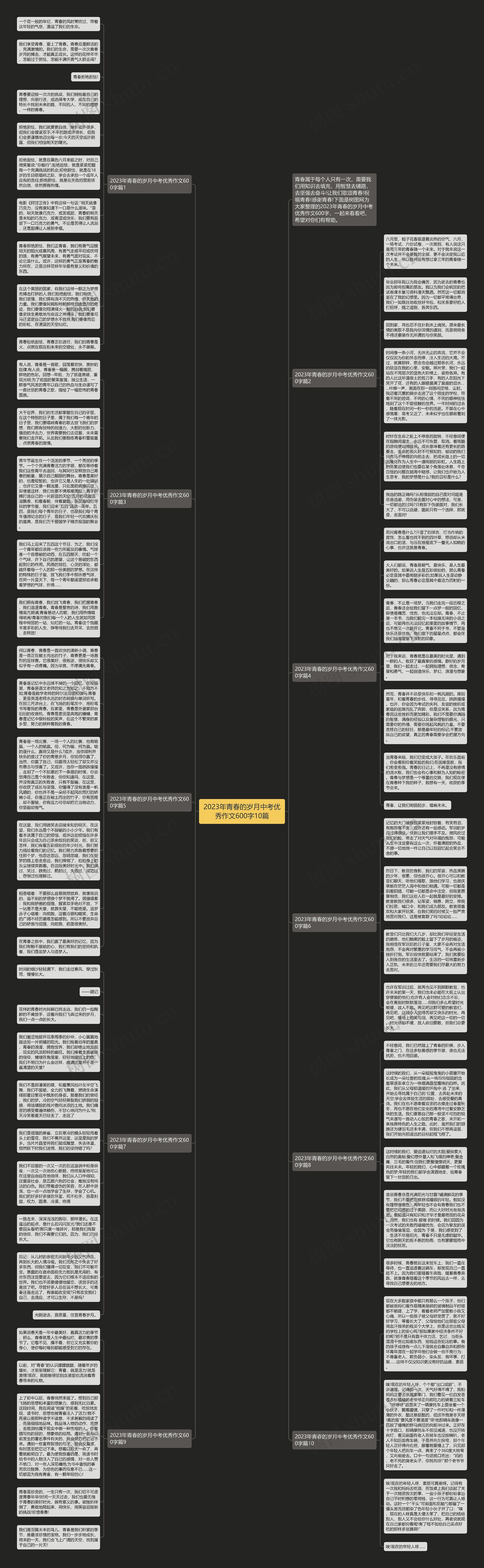 2023年青春的岁月中考优秀作文600字10篇思维导图