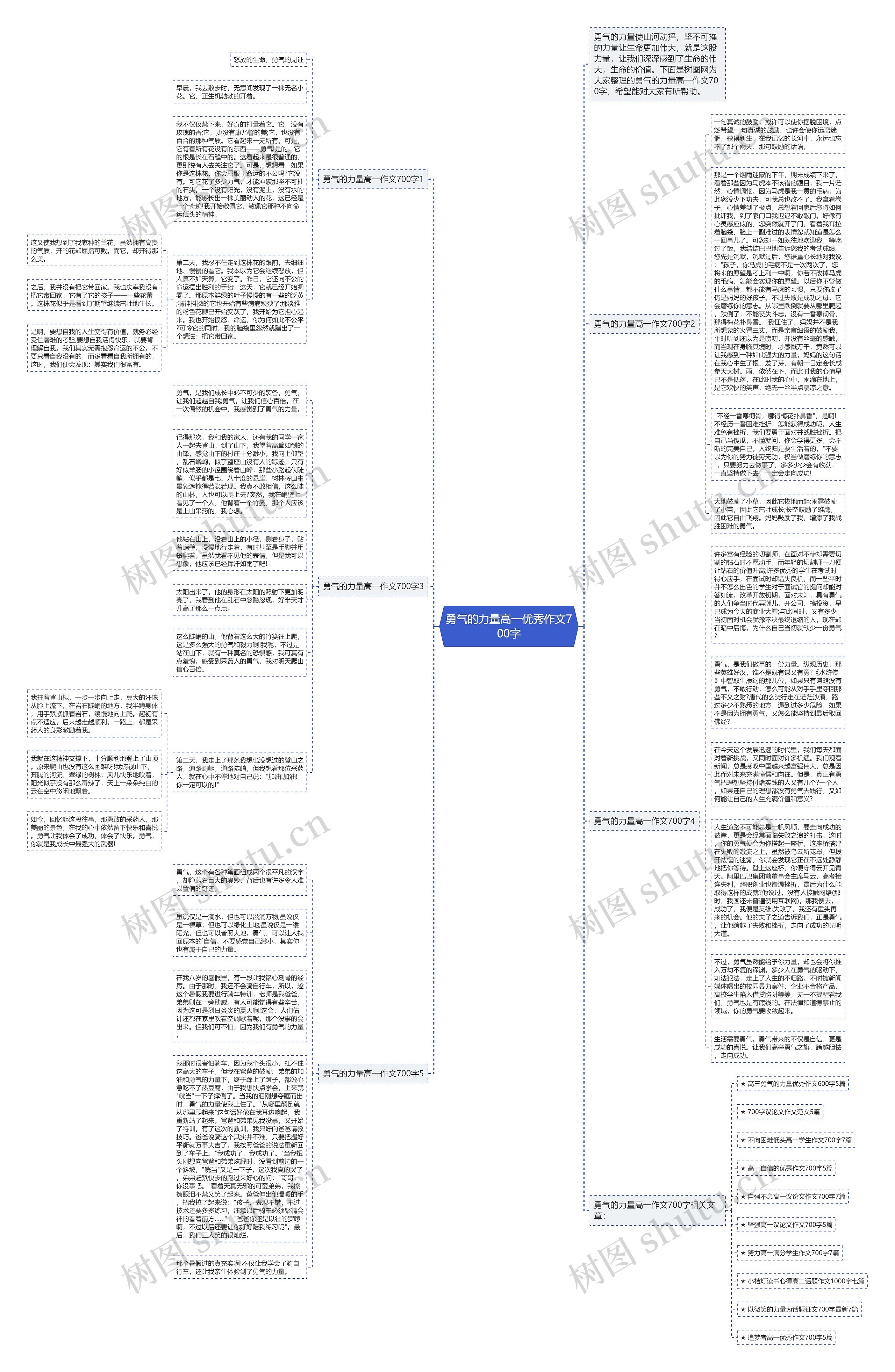 勇气的力量高一优秀作文700字思维导图