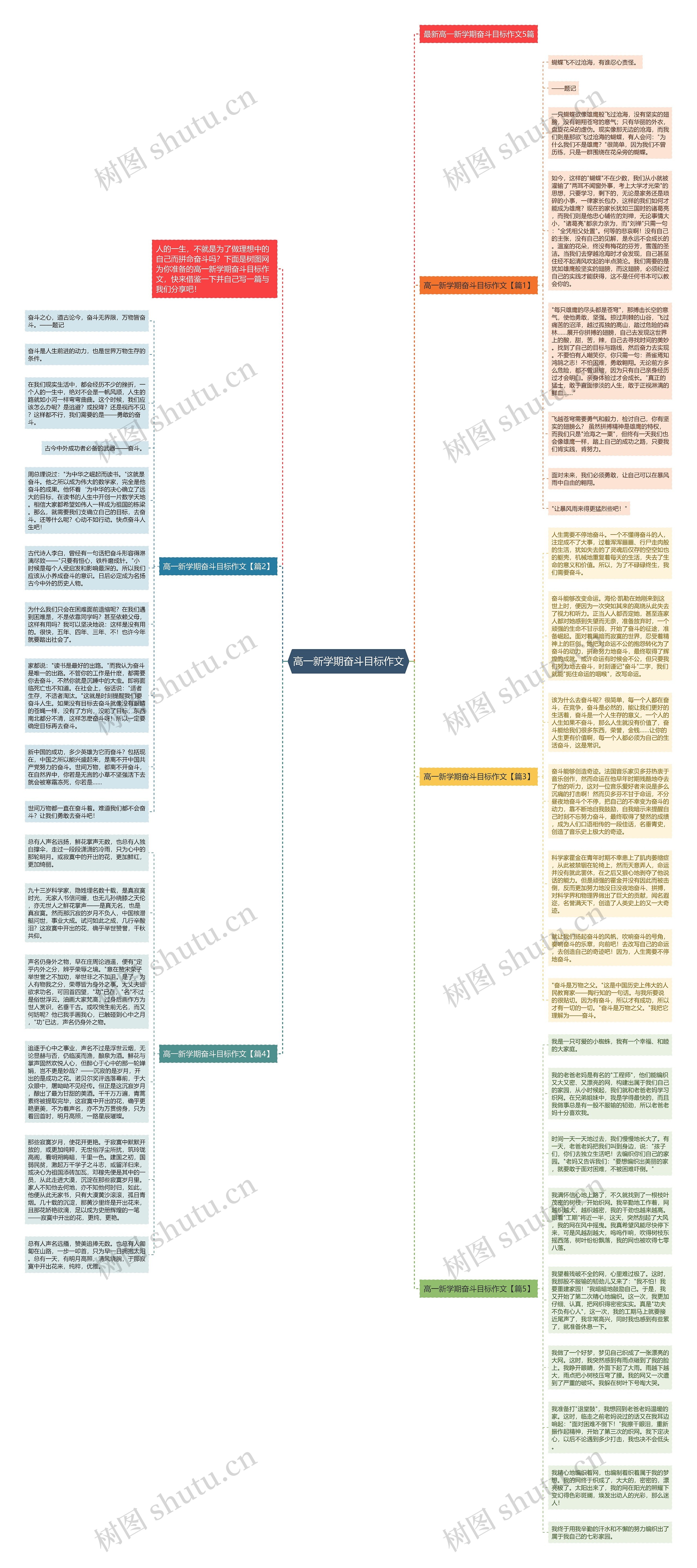 高一新学期奋斗目标作文思维导图