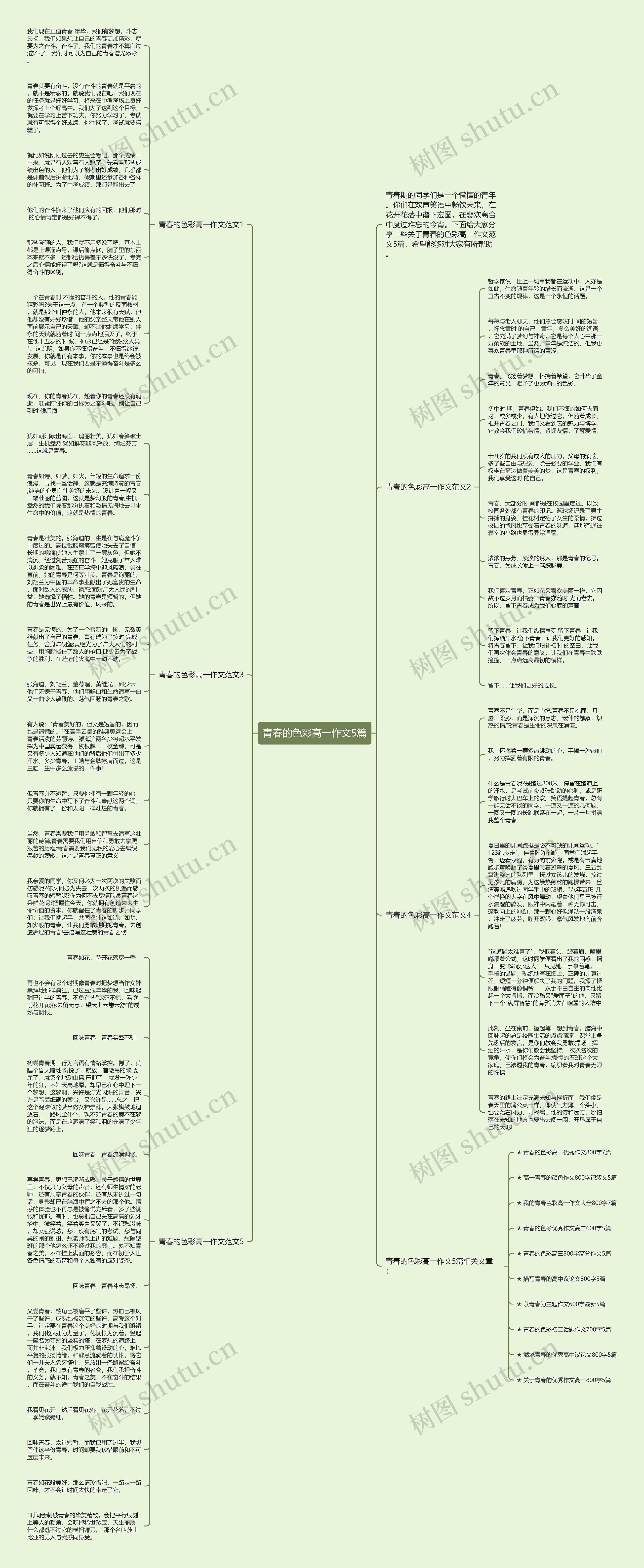 青春的色彩高一作文5篇思维导图