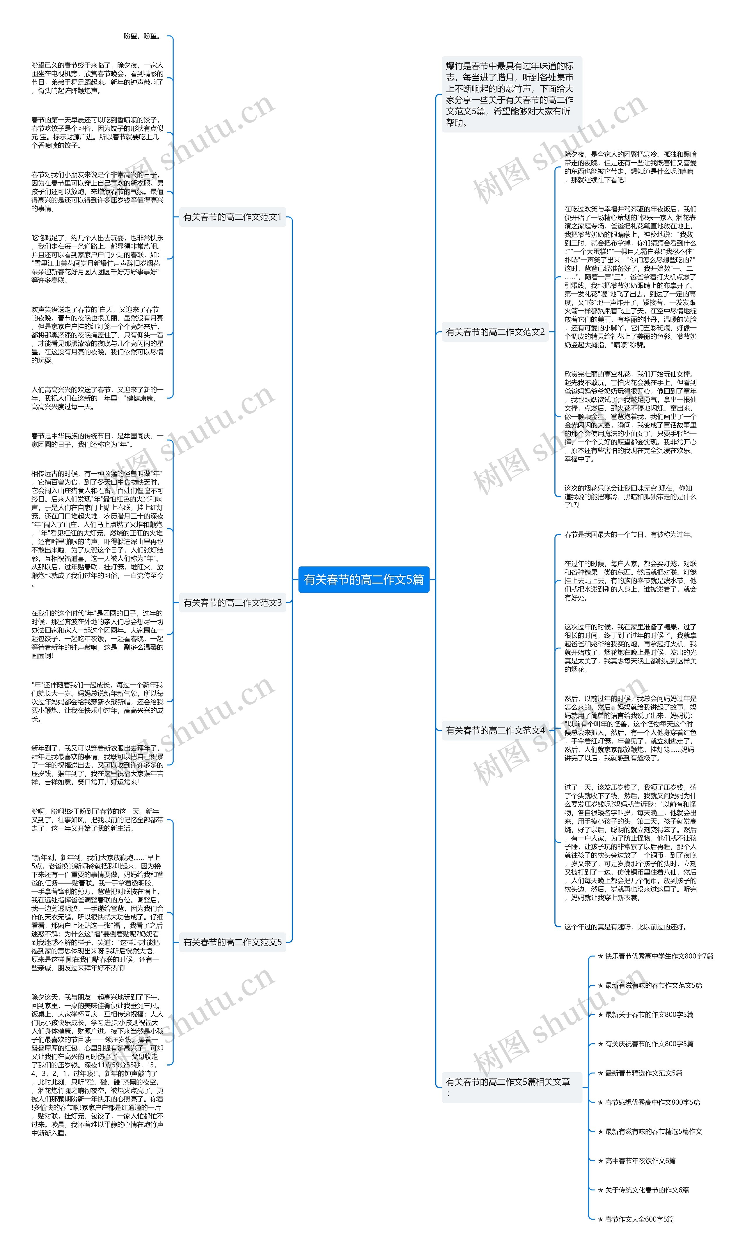 有关春节的高二作文5篇思维导图