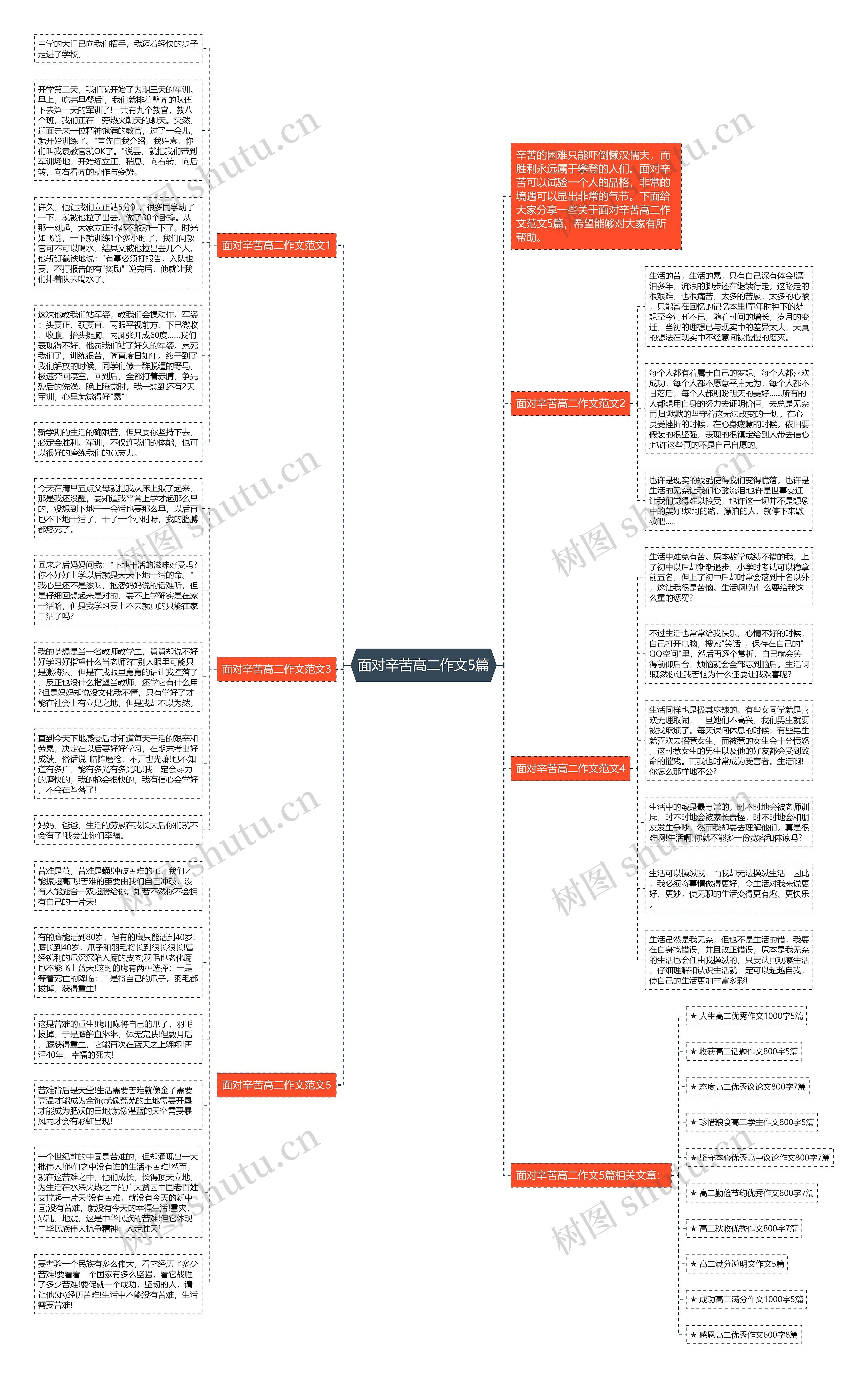 面对辛苦高二作文5篇思维导图