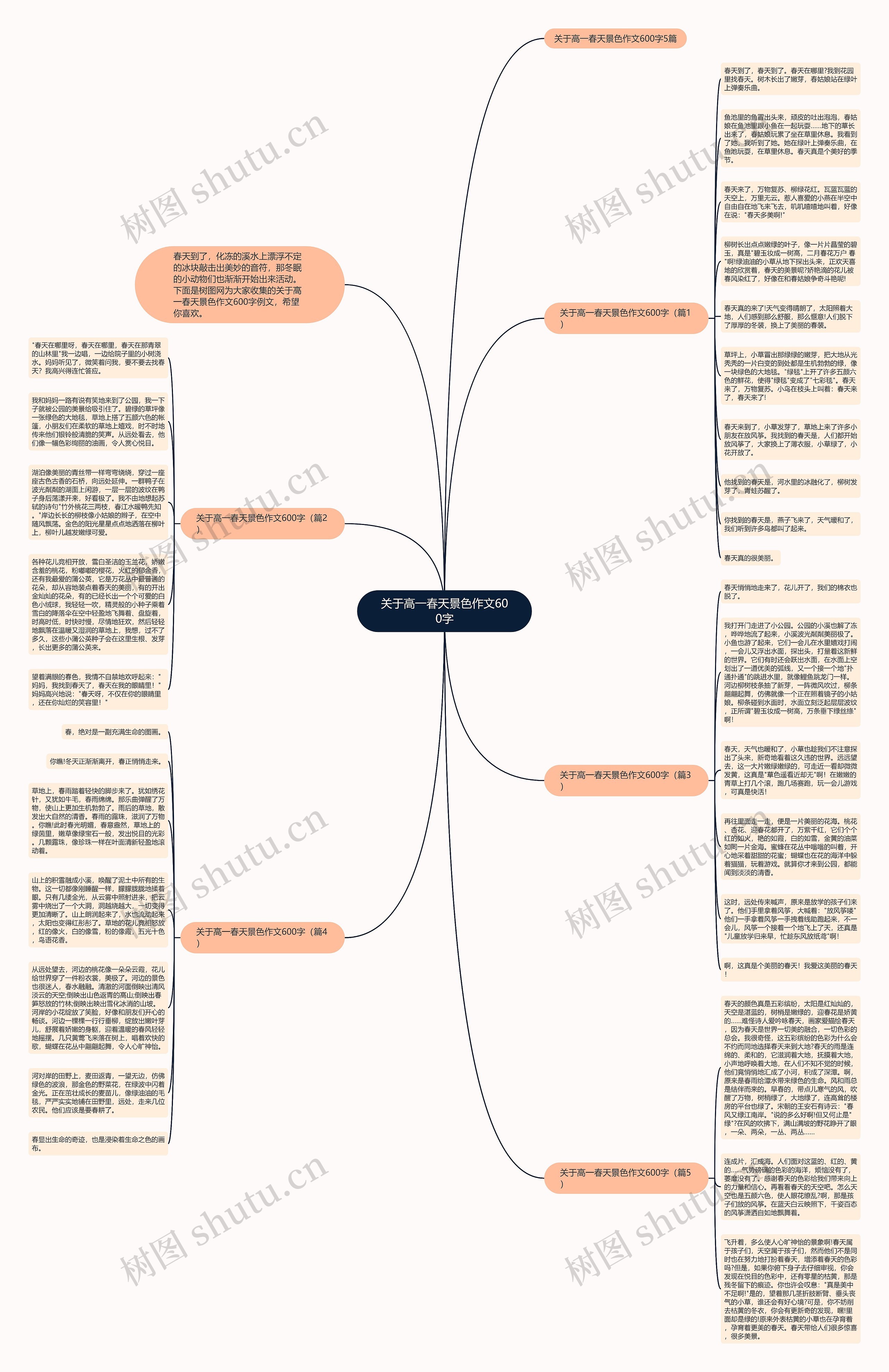 关于高一春天景色作文600字思维导图