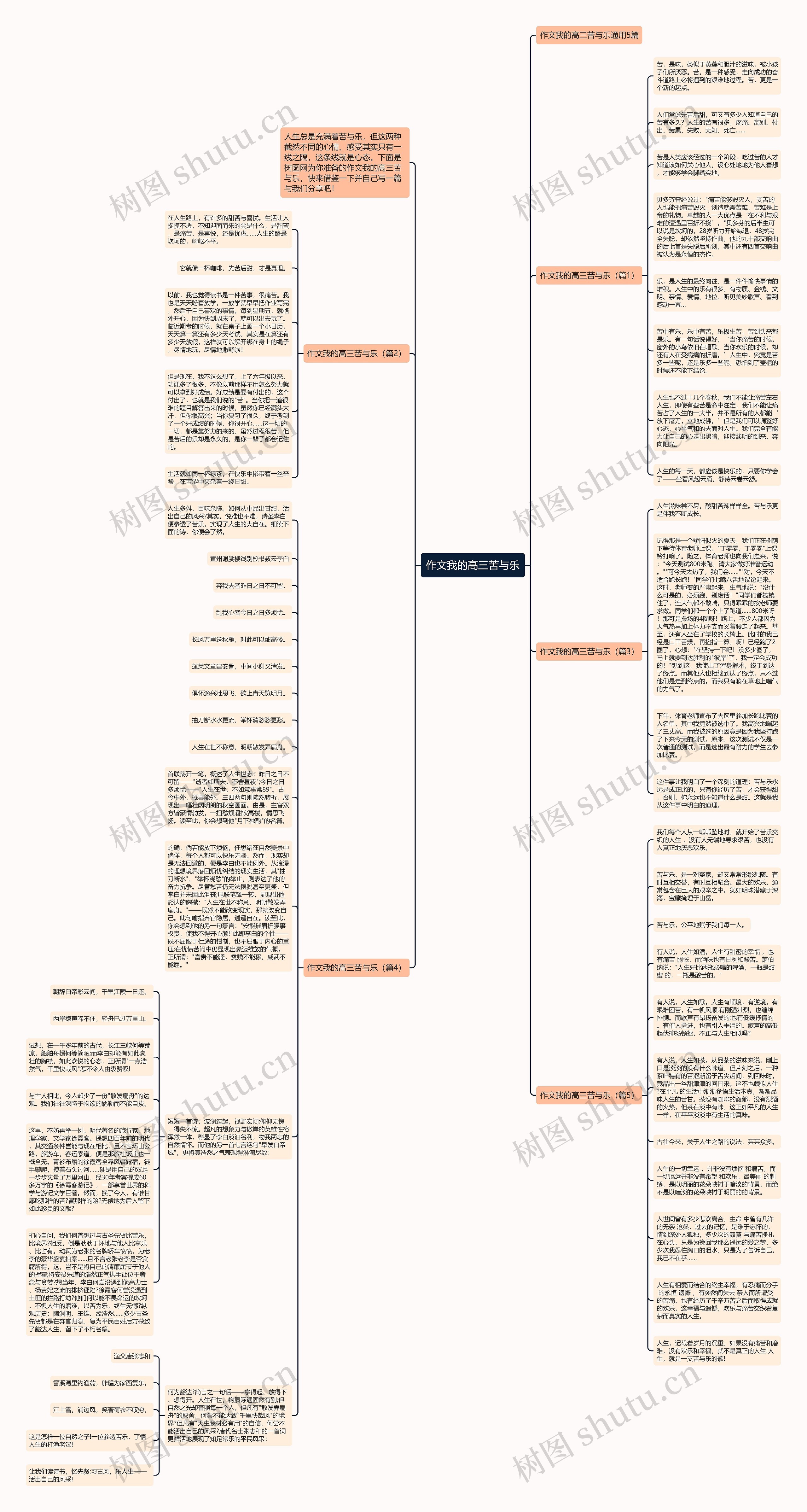 作文我的高三苦与乐思维导图