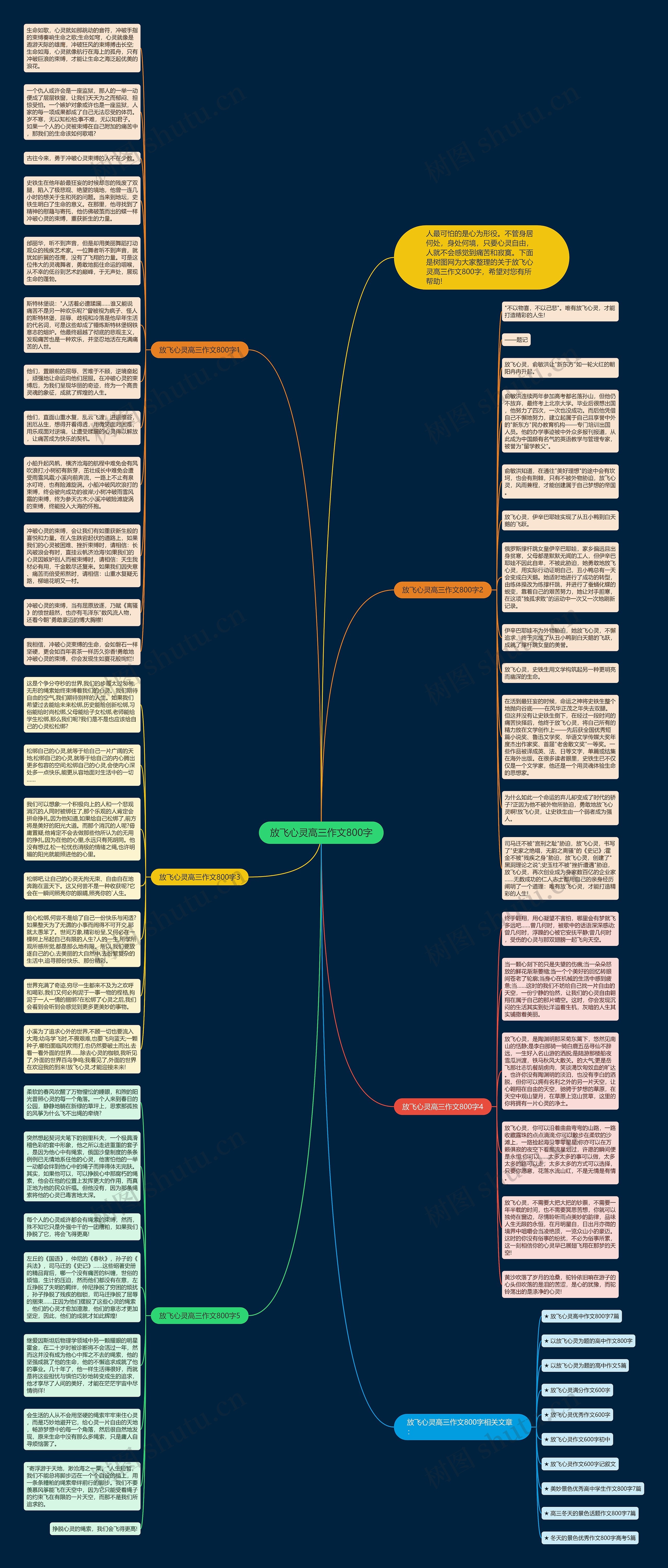 放飞心灵高三作文800字思维导图