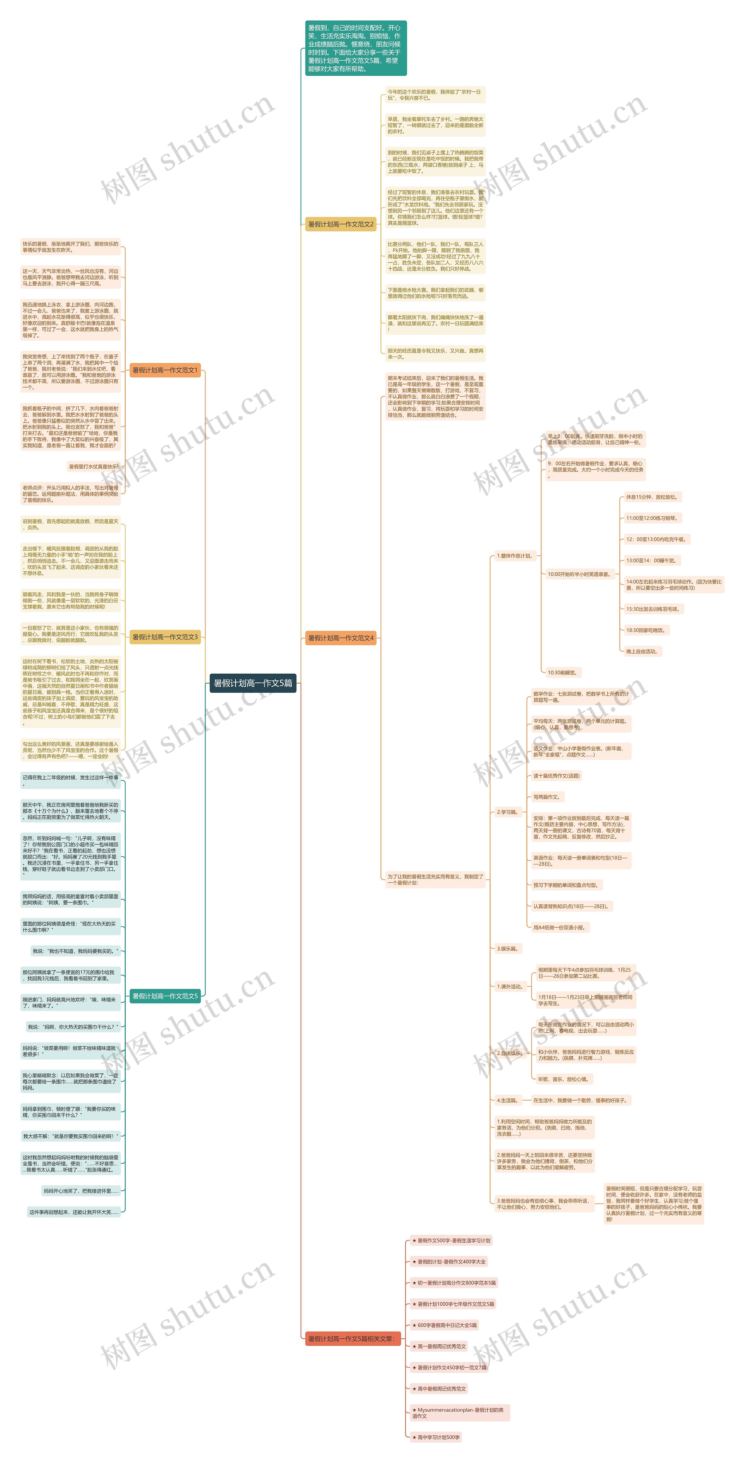 暑假计划高一作文5篇思维导图