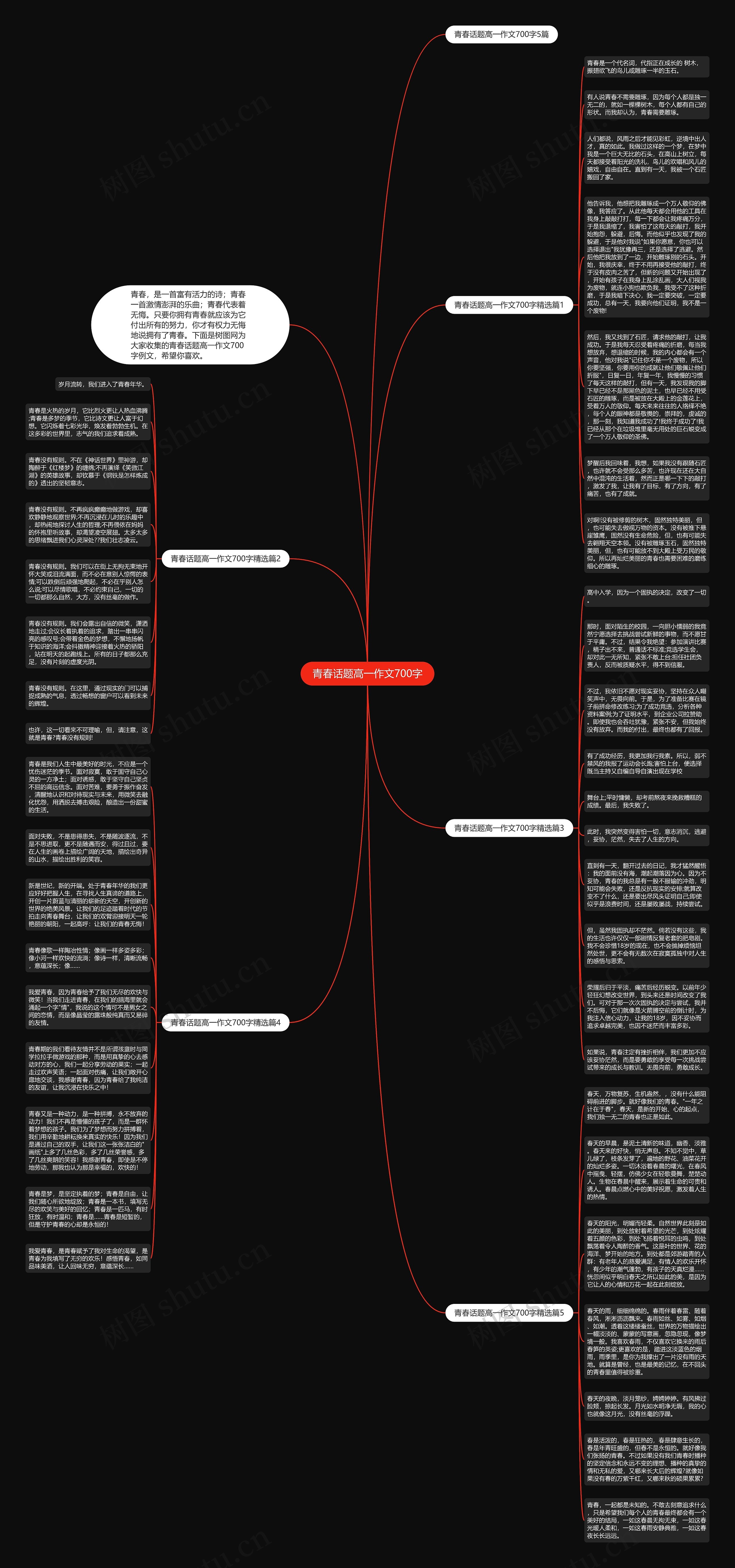 青春话题高一作文700字思维导图