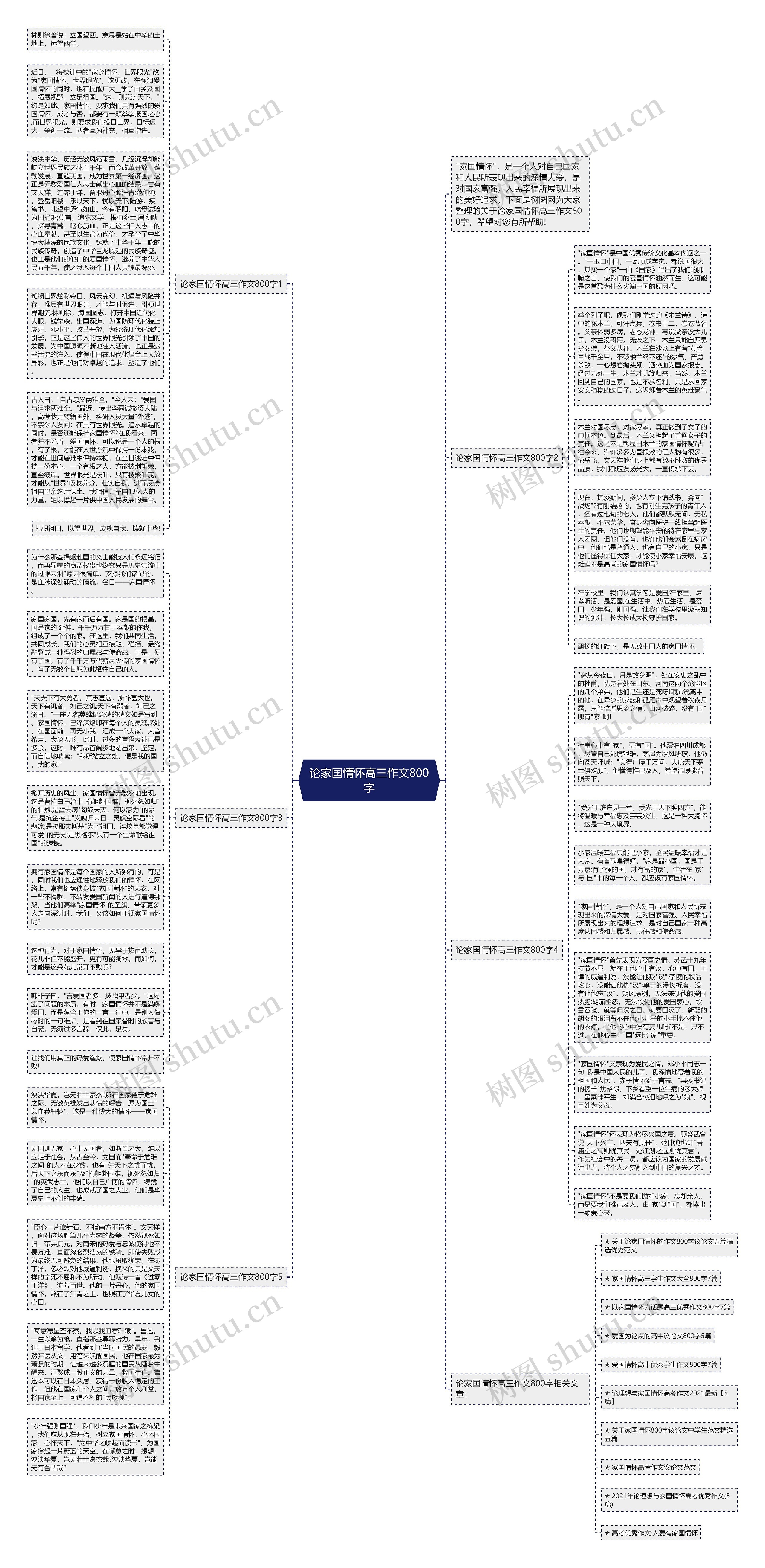 论家国情怀高三作文800字思维导图