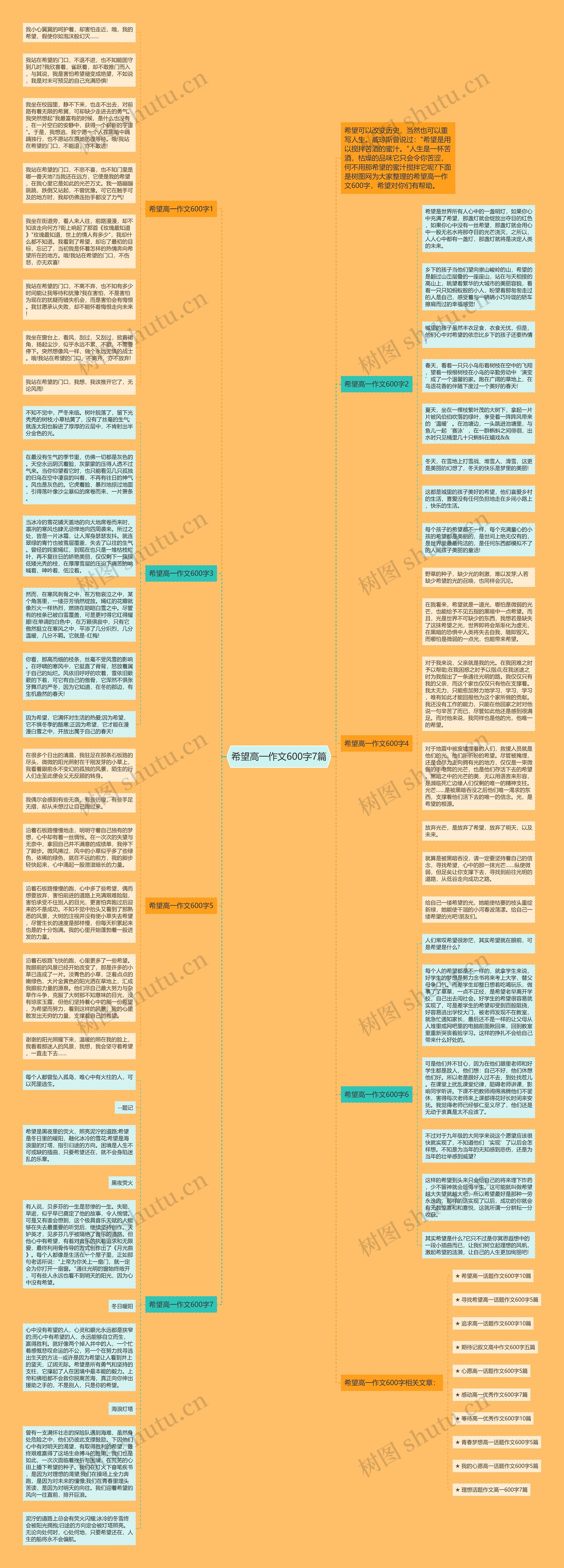 希望高一作文600字7篇思维导图