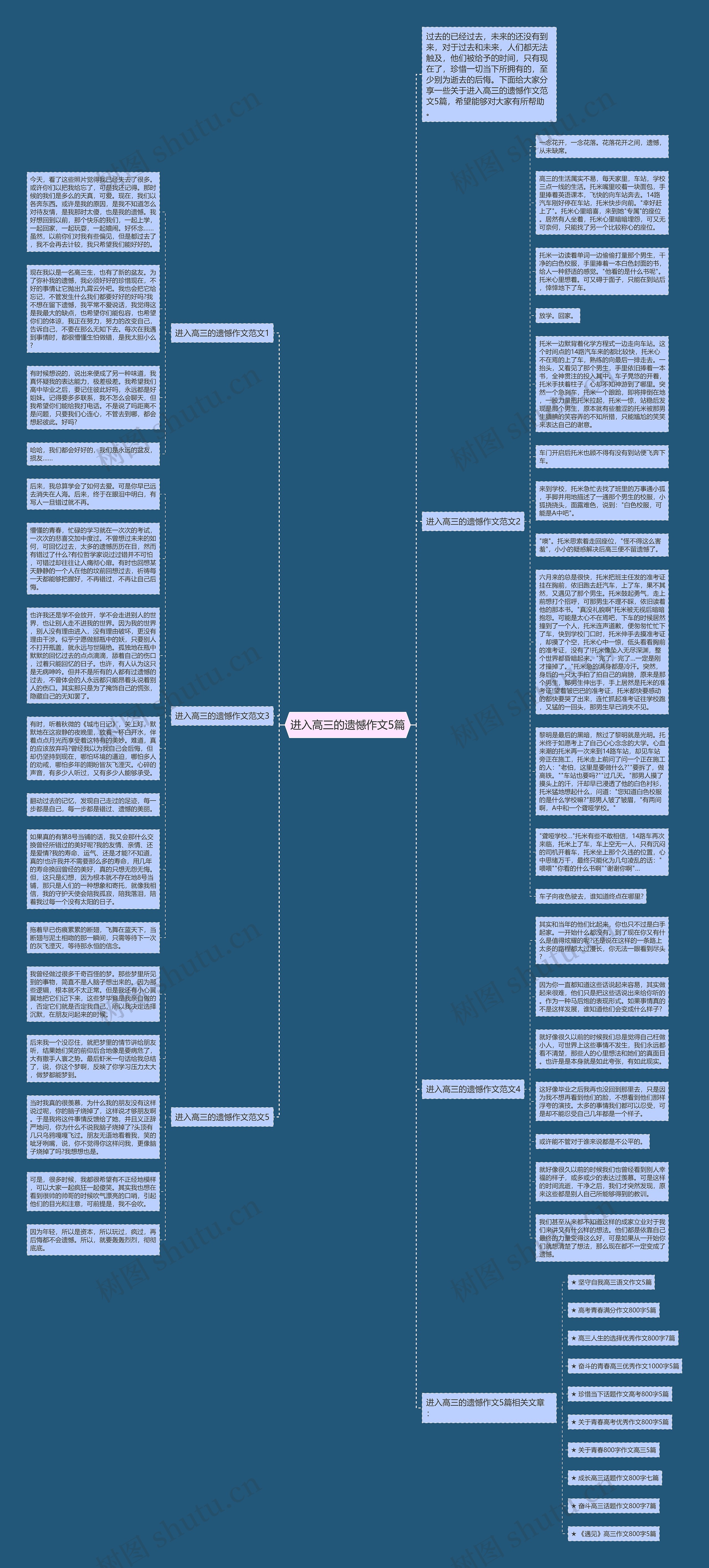 进入高三的遗憾作文5篇思维导图