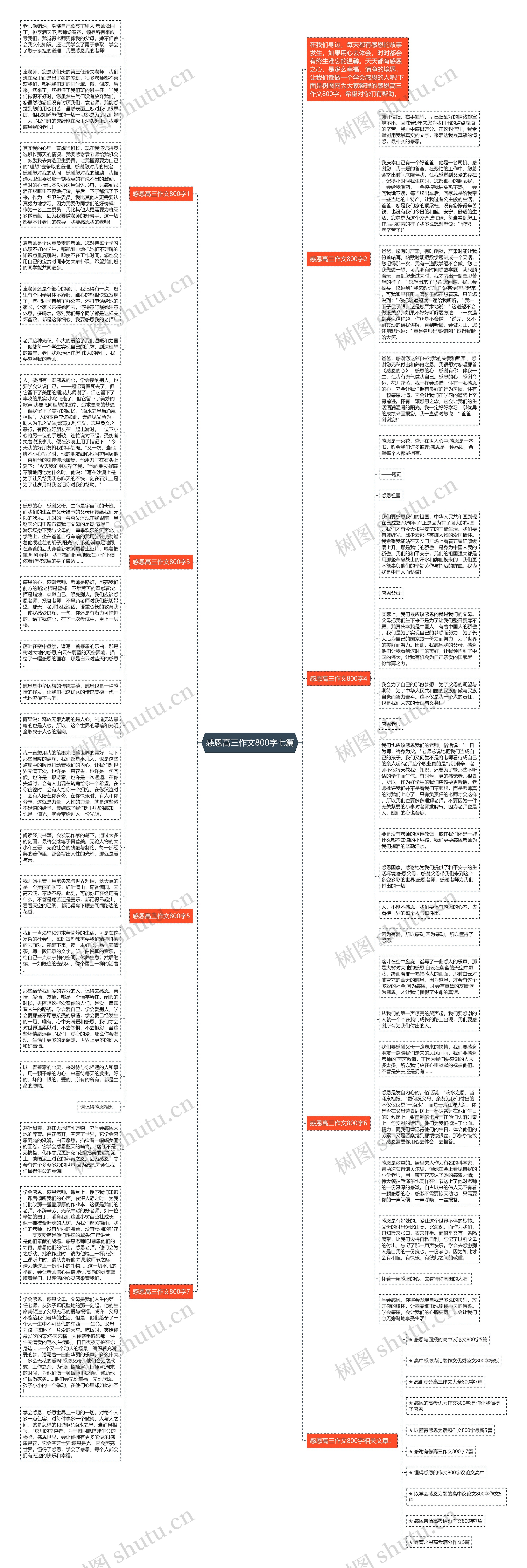 感恩高三作文800字七篇思维导图