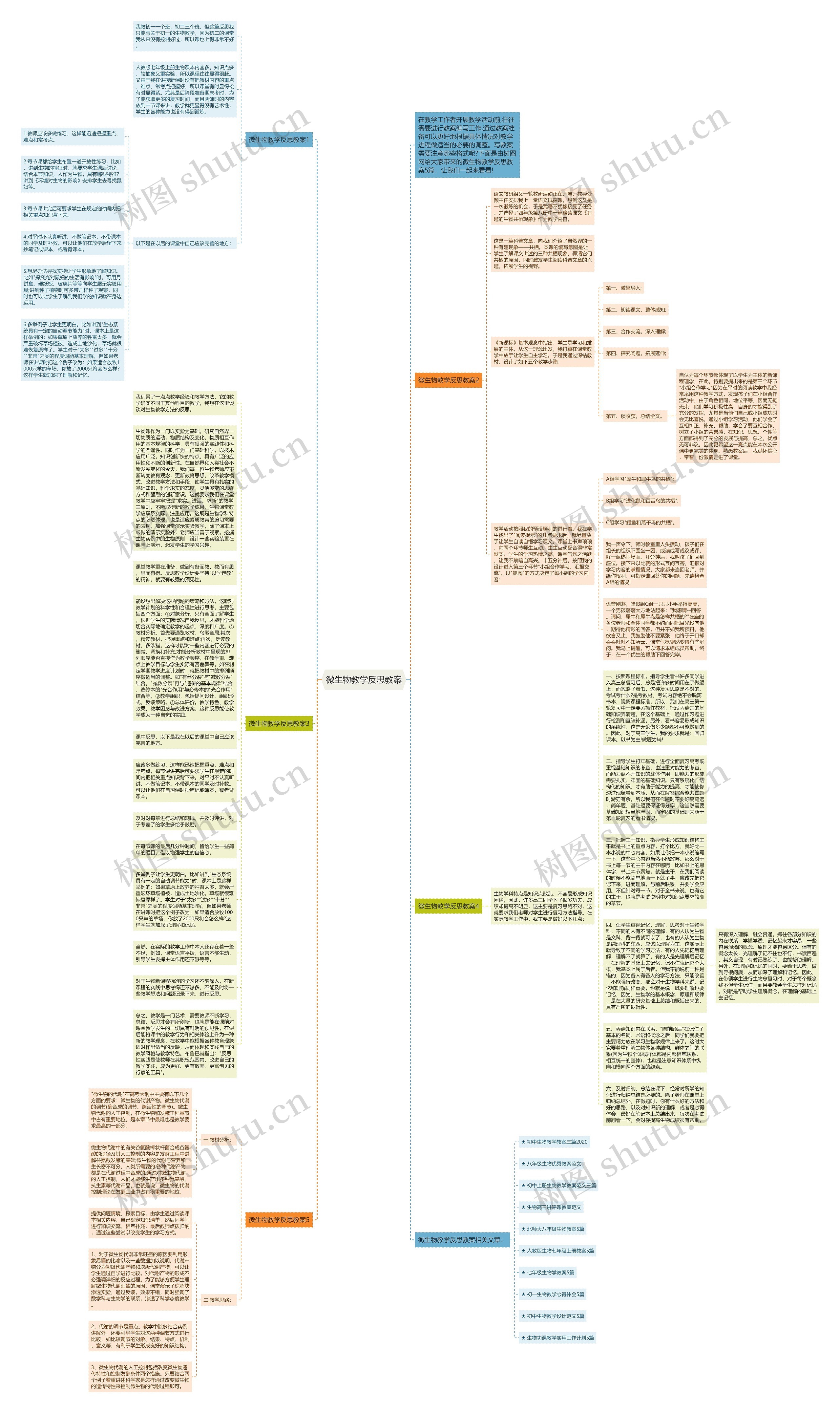 微生物教学反思教案思维导图