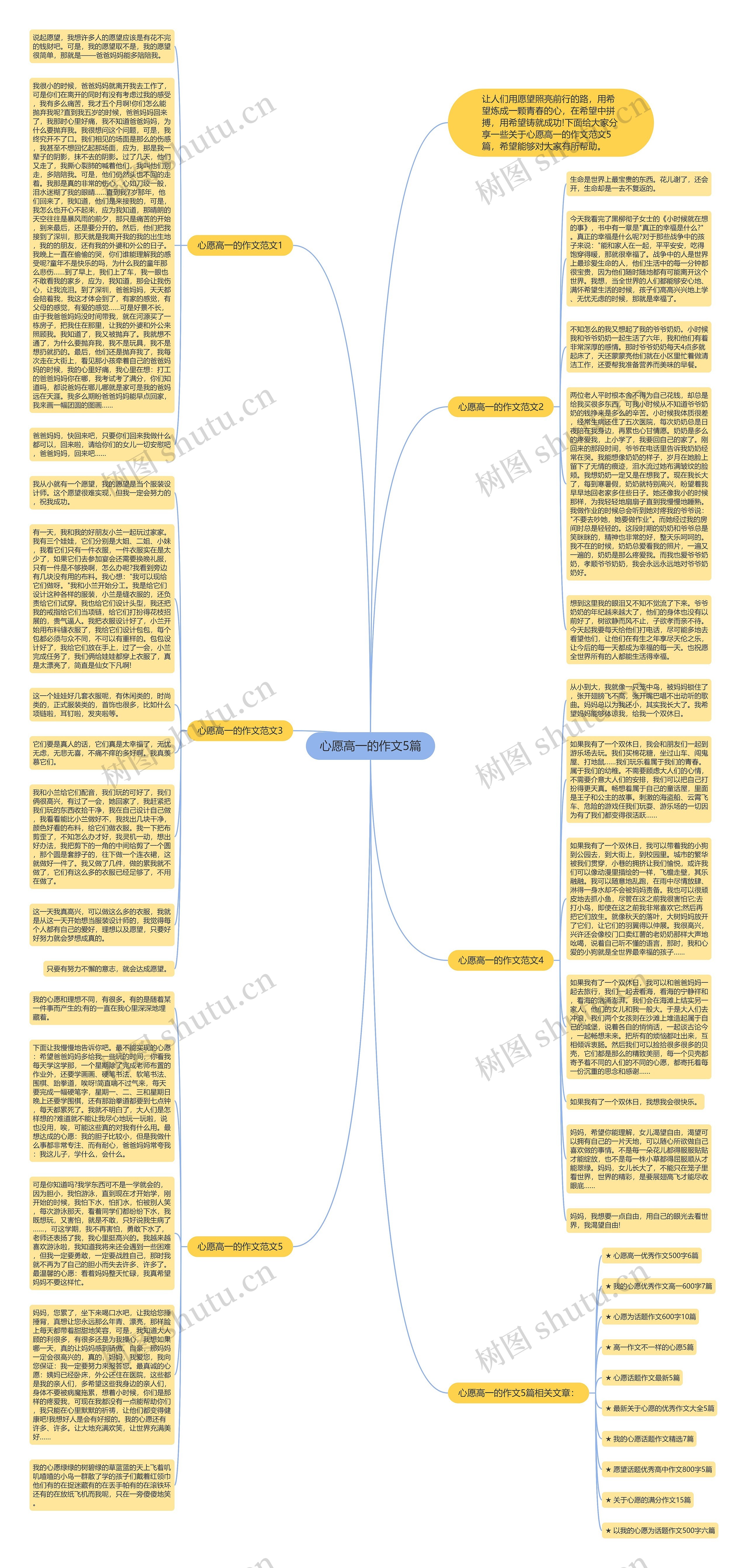 心愿高一的作文5篇思维导图