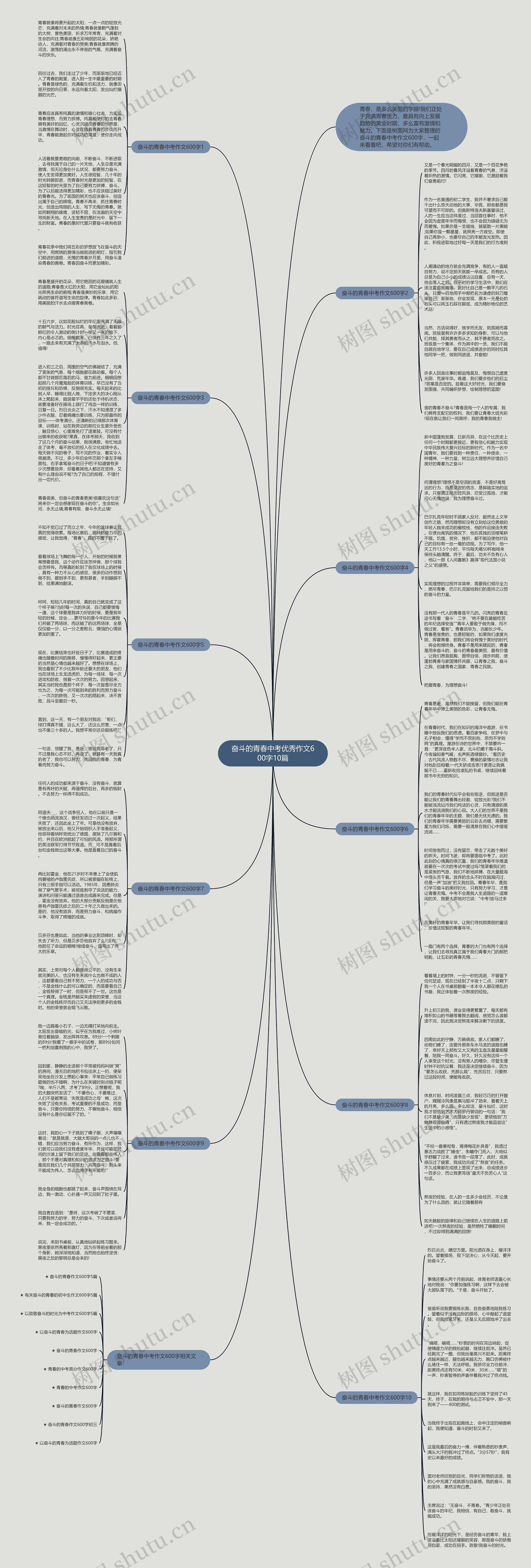 奋斗的青春中考优秀作文600字10篇思维导图