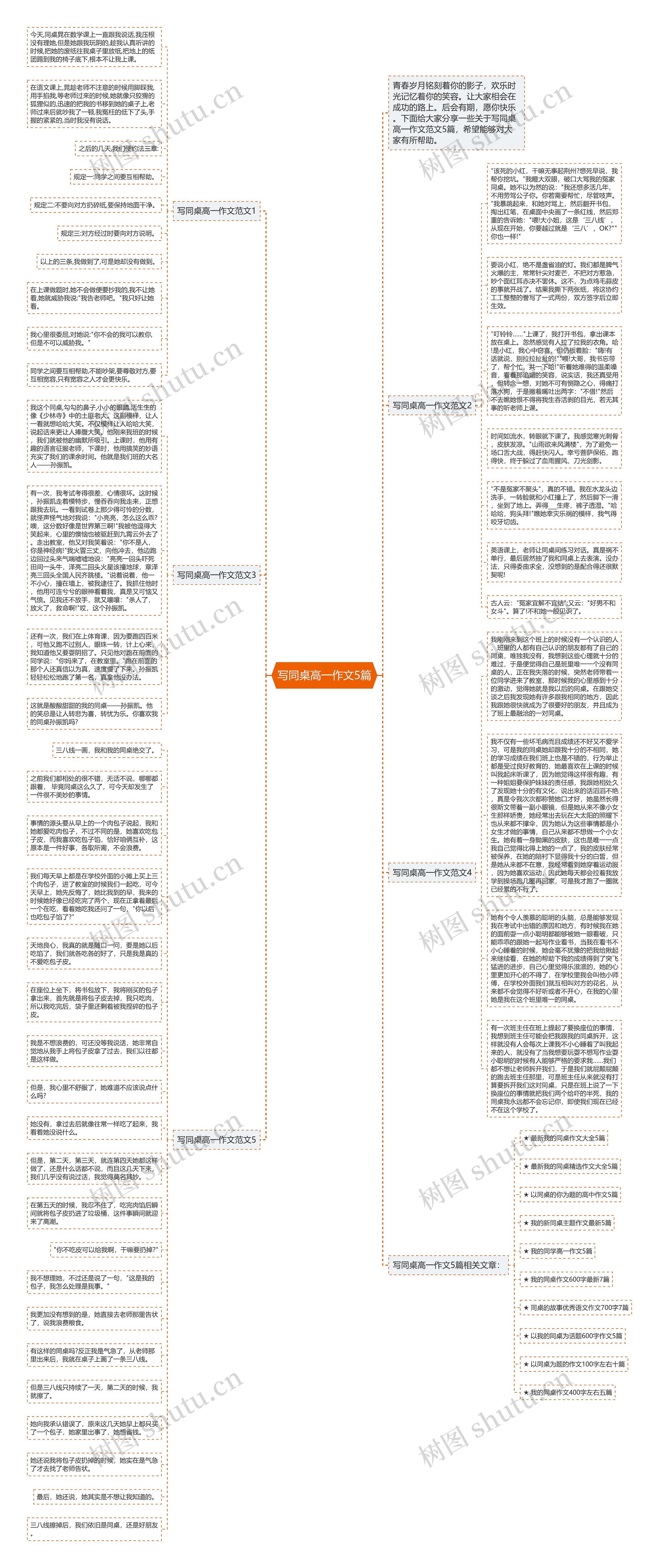 写同桌高一作文5篇思维导图
