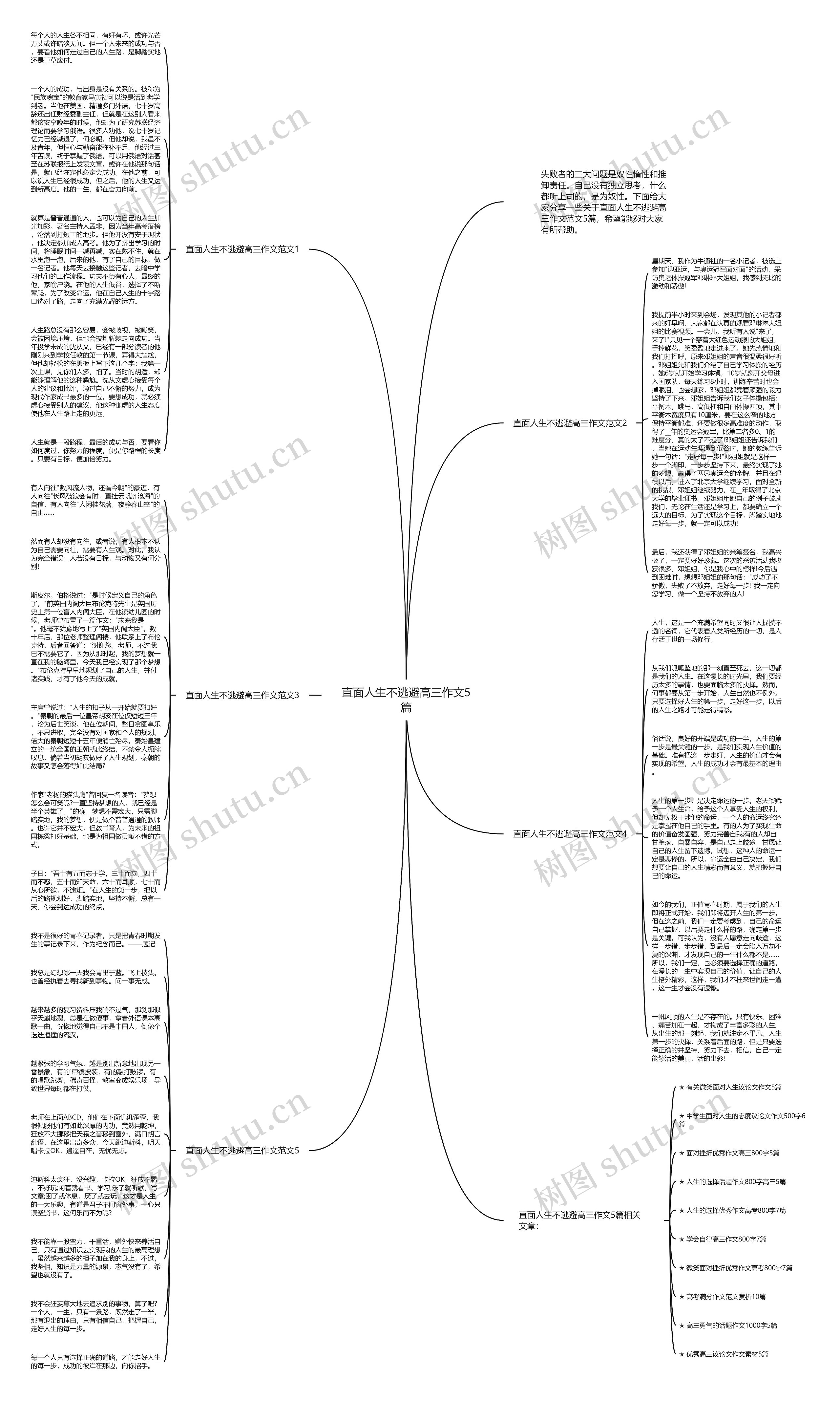 直面人生不逃避高三作文5篇思维导图