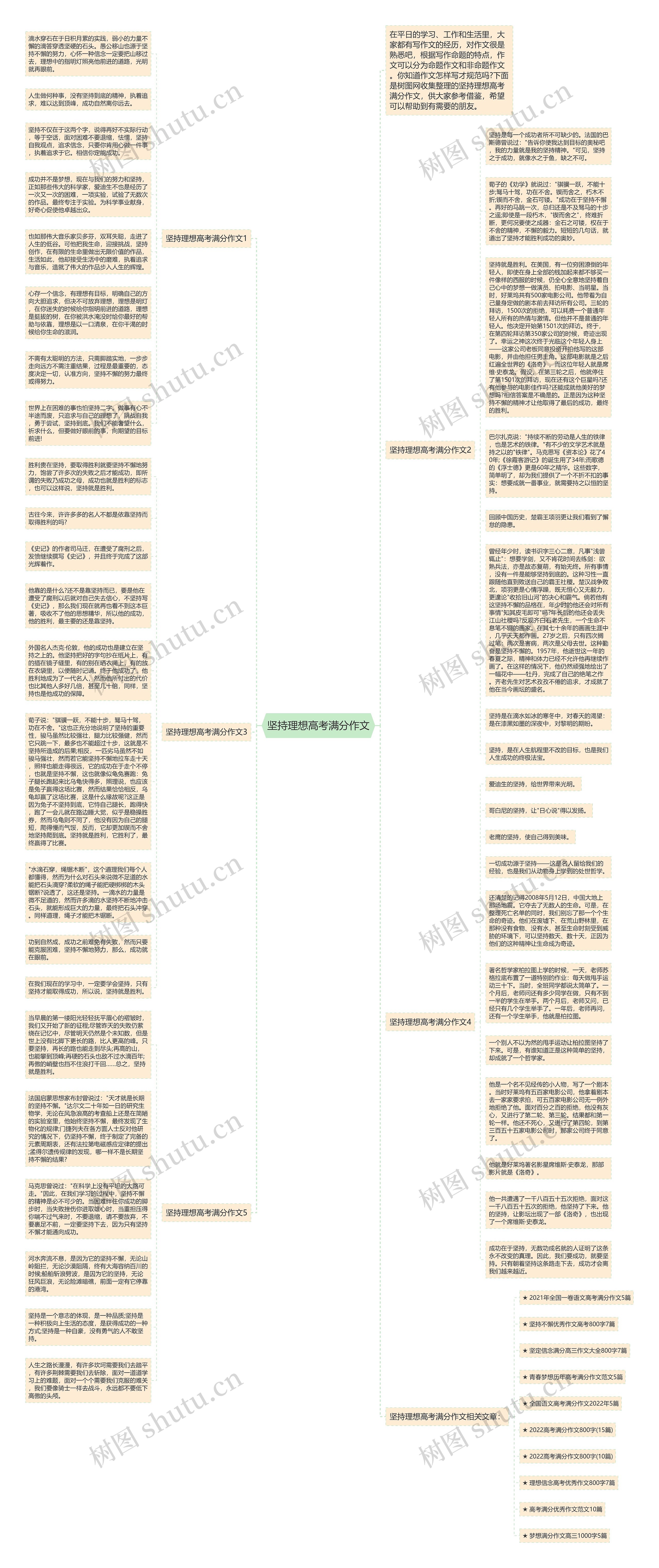 坚持理想高考满分作文思维导图