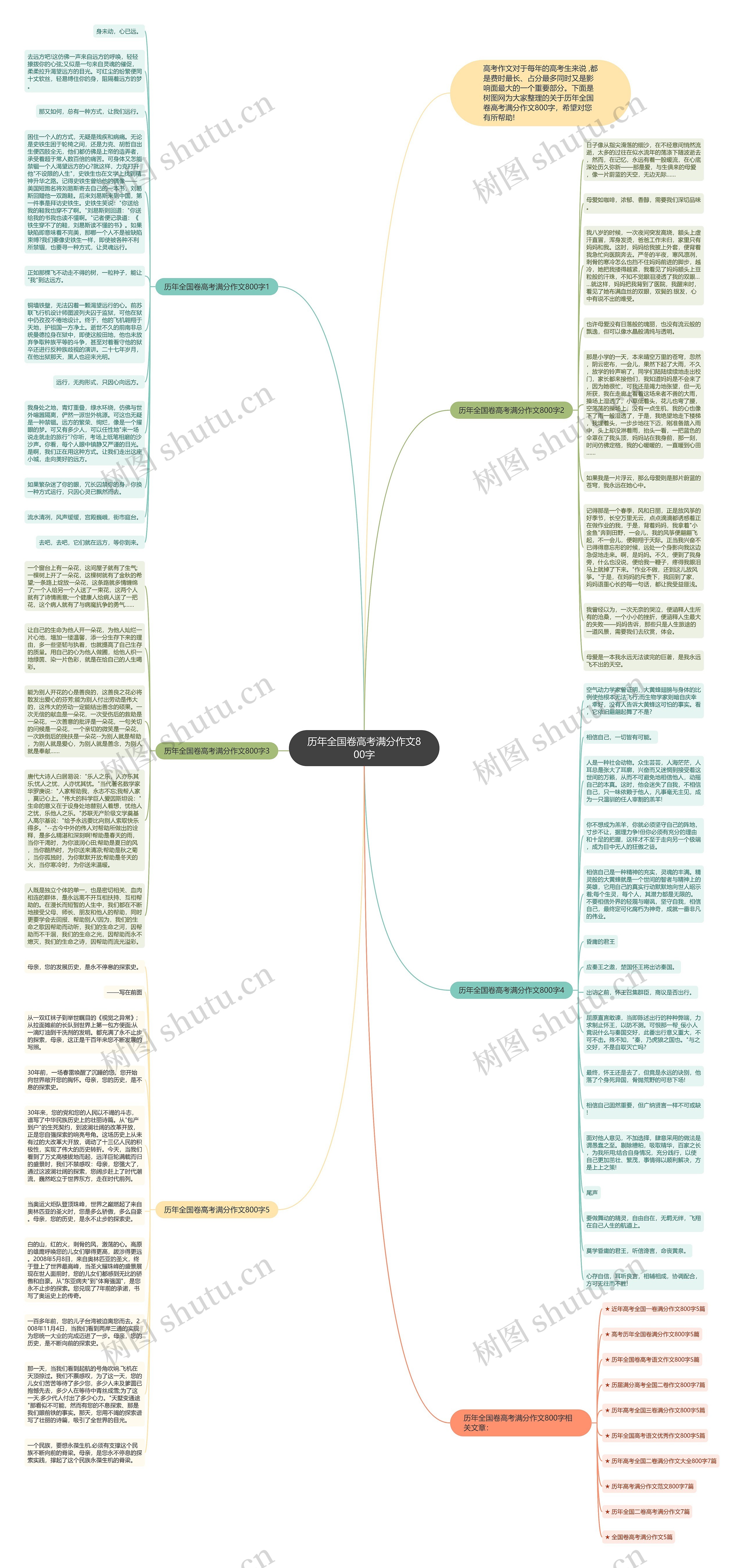 历年全国卷高考满分作文800字思维导图