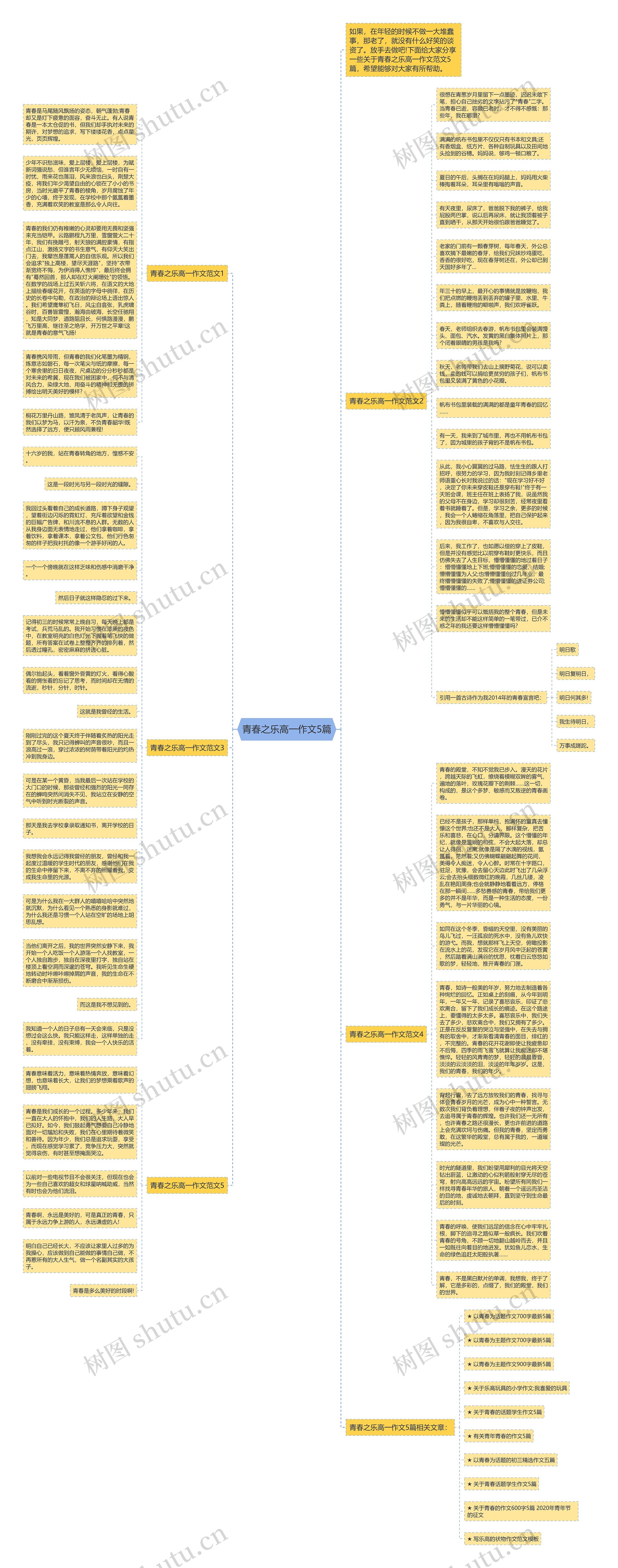 青春之乐高一作文5篇思维导图