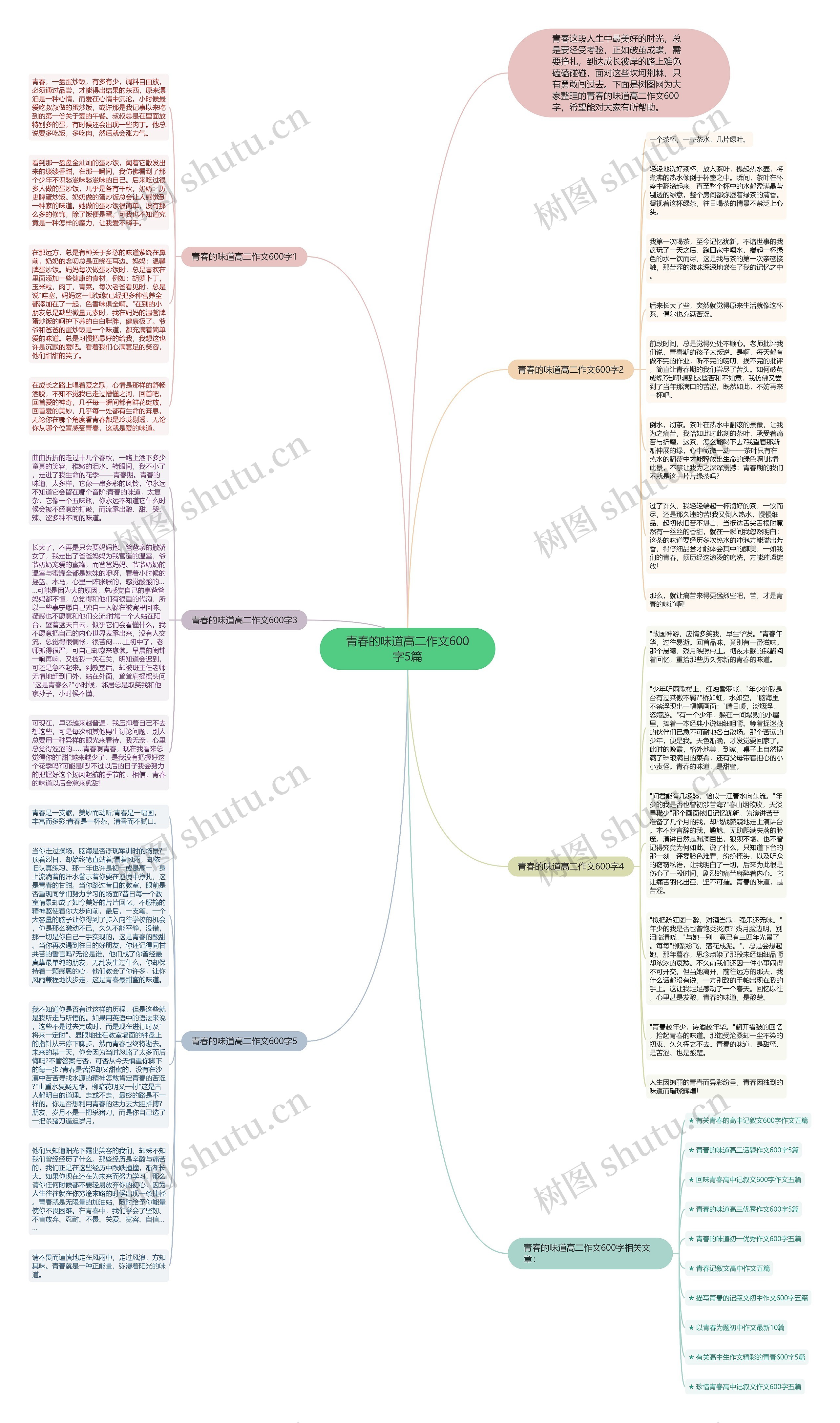 青春的味道高二作文600字5篇思维导图