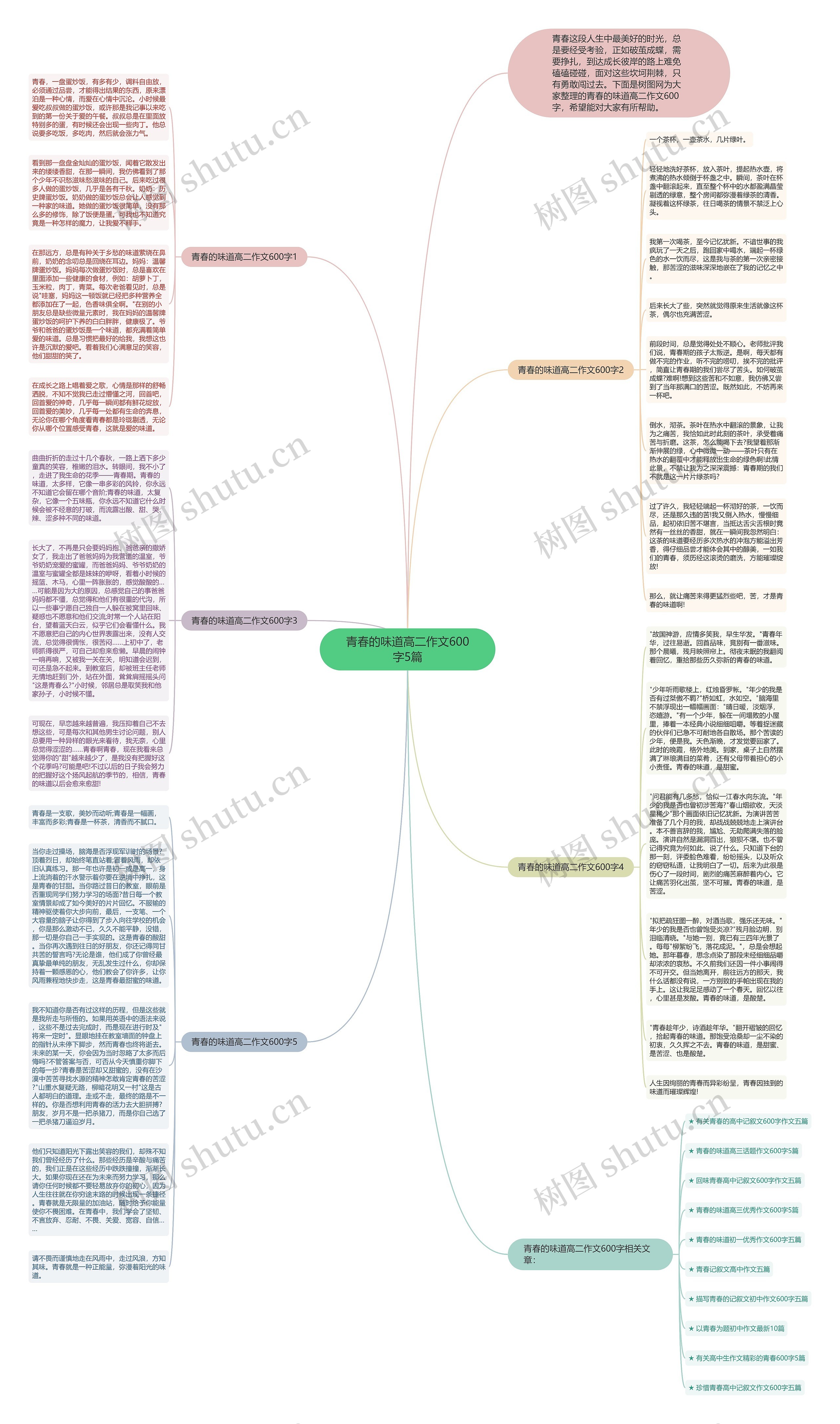 青春的味道高二作文600字5篇思维导图高清图 青春的味道高二作文600字5篇思维导图