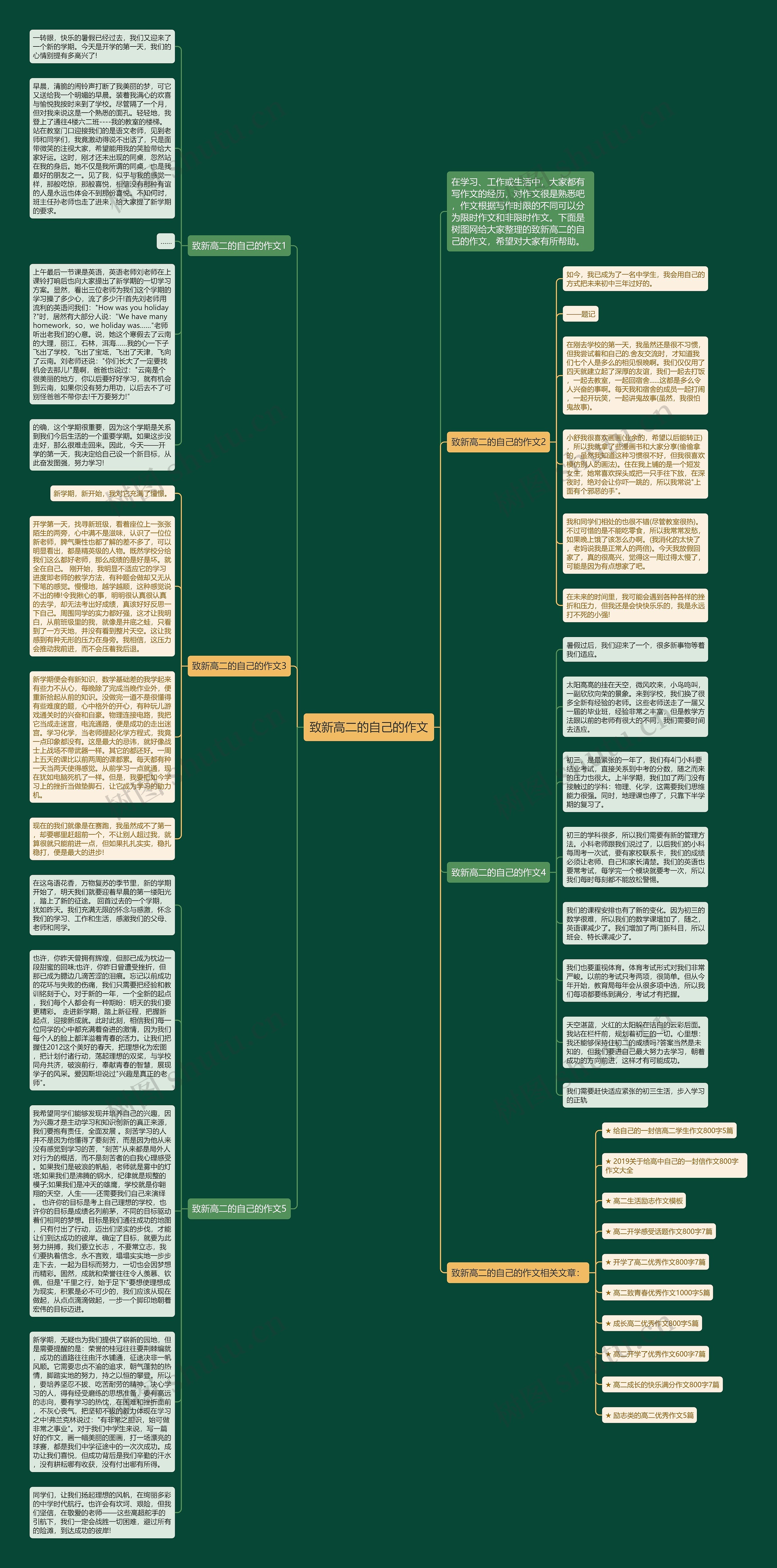 致新高二的自己的作文思维导图